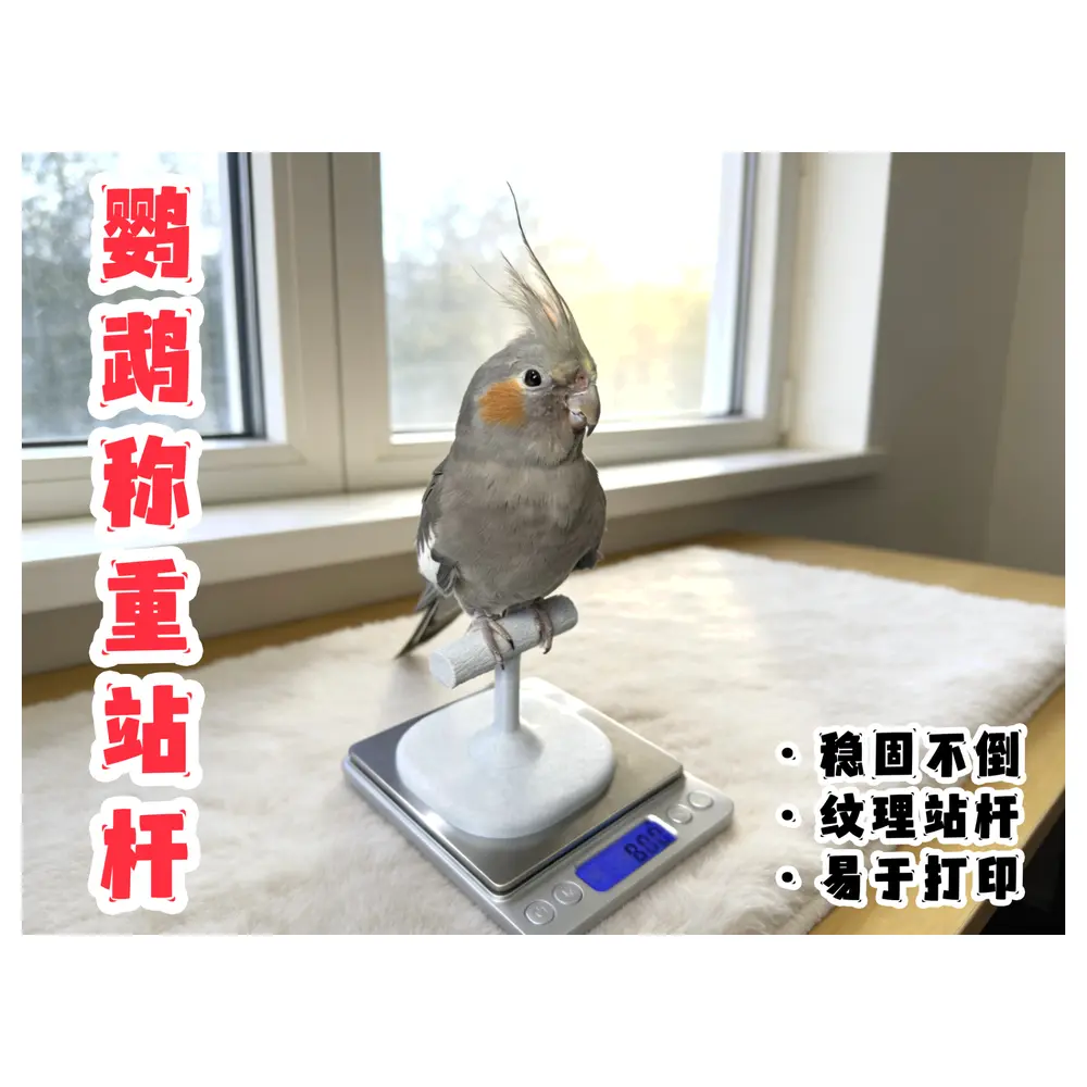 Parrot Weighing Stand Pole Cage Stand Bird Cage Support Pole Cage Accessories Cage Support Frame