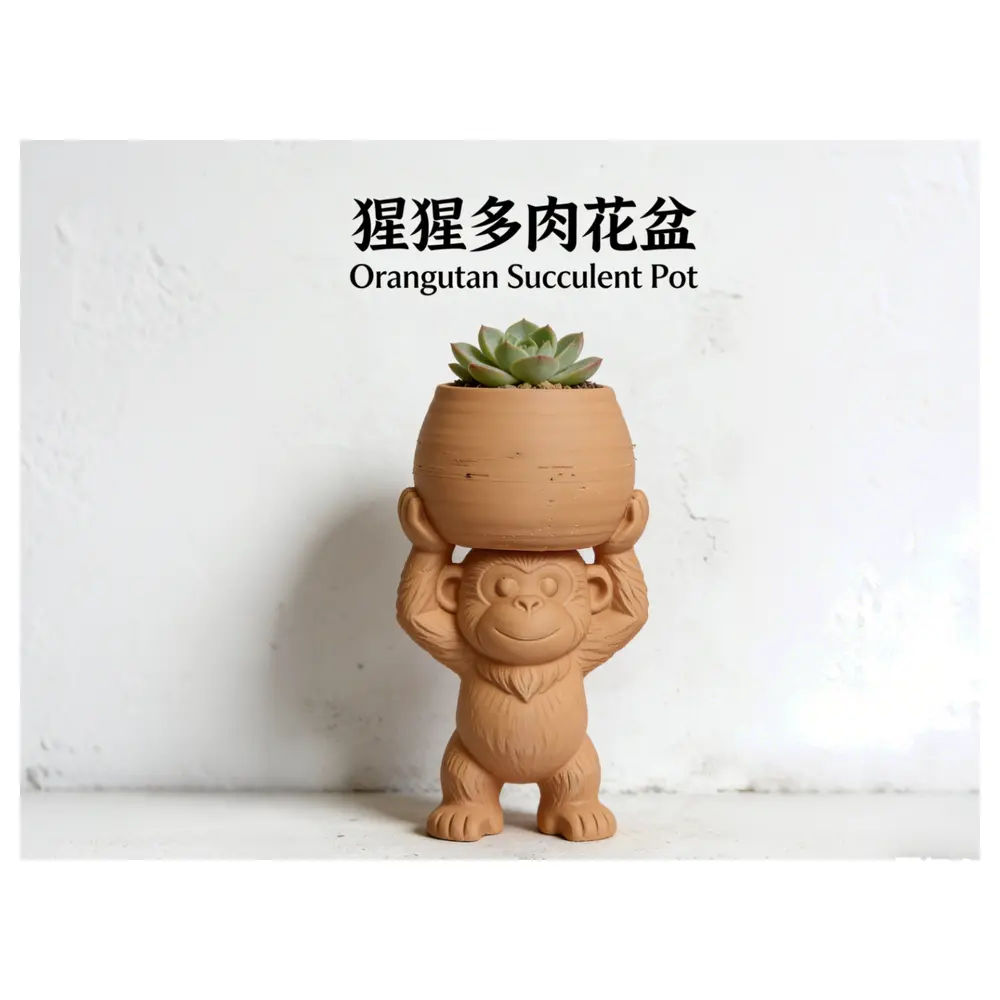 Succulent Planters Monkey Succulents Planters Potted Plants Flower Pots Gardening Planting