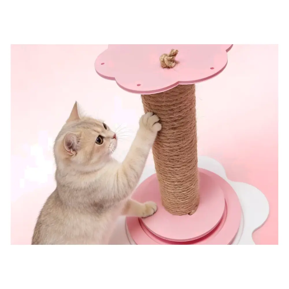 Automatic Cat Scratcher Toy Cat Scratching Post Interactive Puzzle Stress Relief Cat Scratcher Training Toy