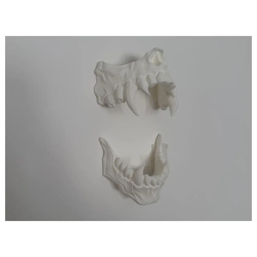 Skull Jaw Bones Skeleton Model Parts Joints Simulation Bone Accessories Educational Model