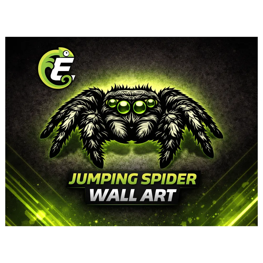Wall Decor Jumping Spider Silhouettes Shadow Art Wall Hanging Spider Decoration Indoor Decor Hanging Ornament