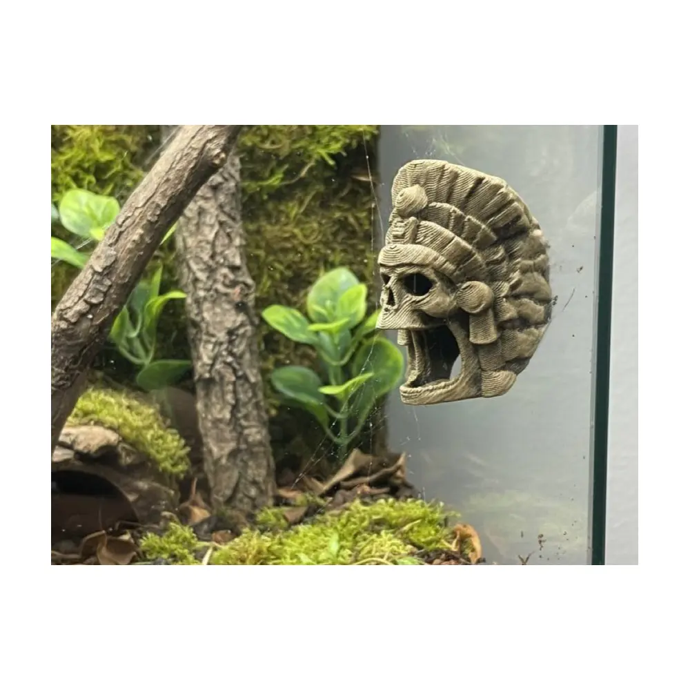 Aztec Spider Habitat Spider Web Reptile Insect Collection Display Model Arachnid