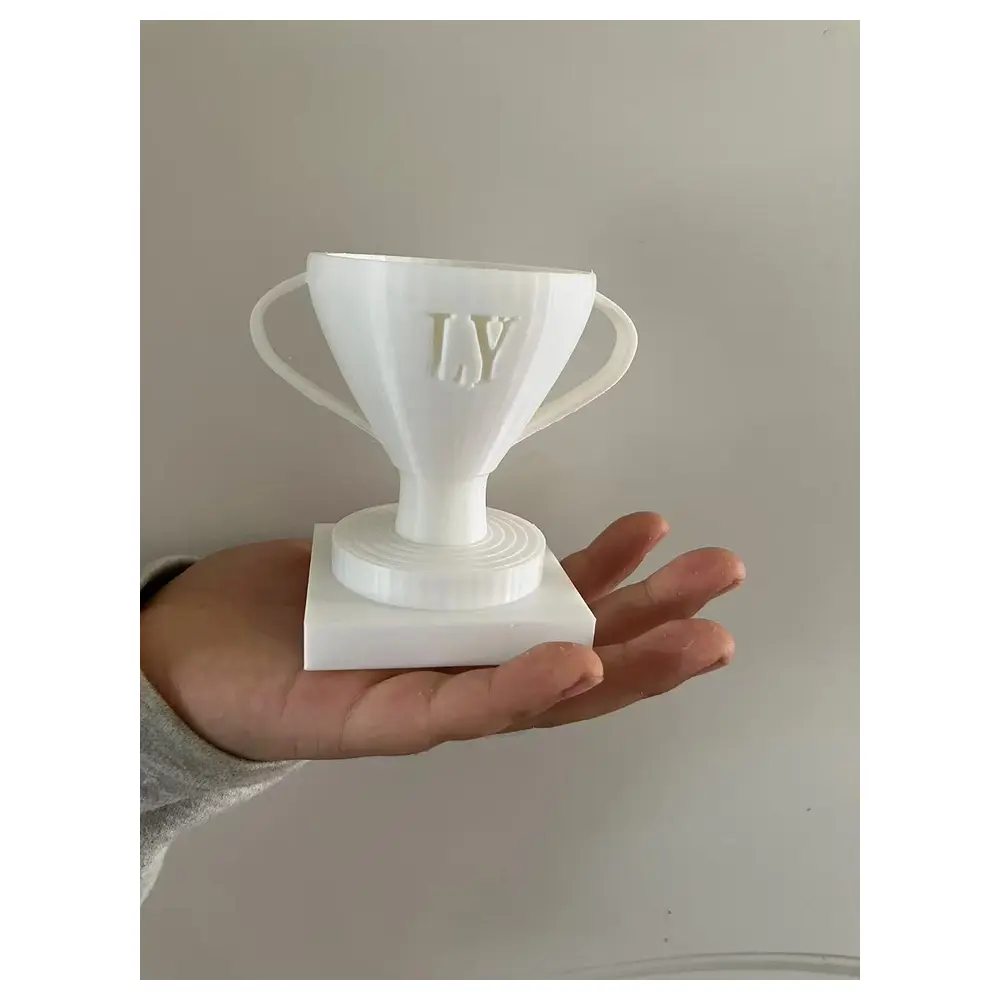 LY Trophy Awards Recognition Awards Sports Trophy Competition Prize Trophy Awards Competition