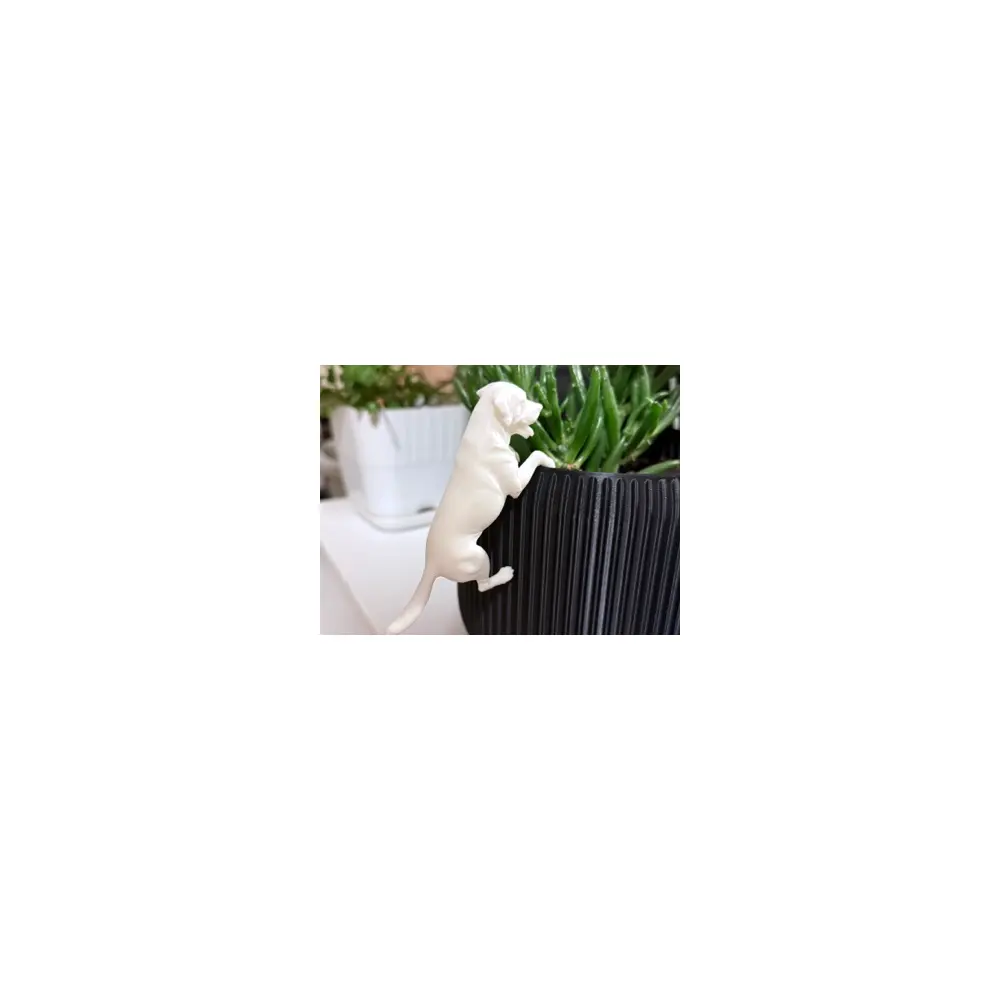 Labrador Dog Decor Dog Toys Pet Supplies Training Toys Interactive Toys Pet Accessories
