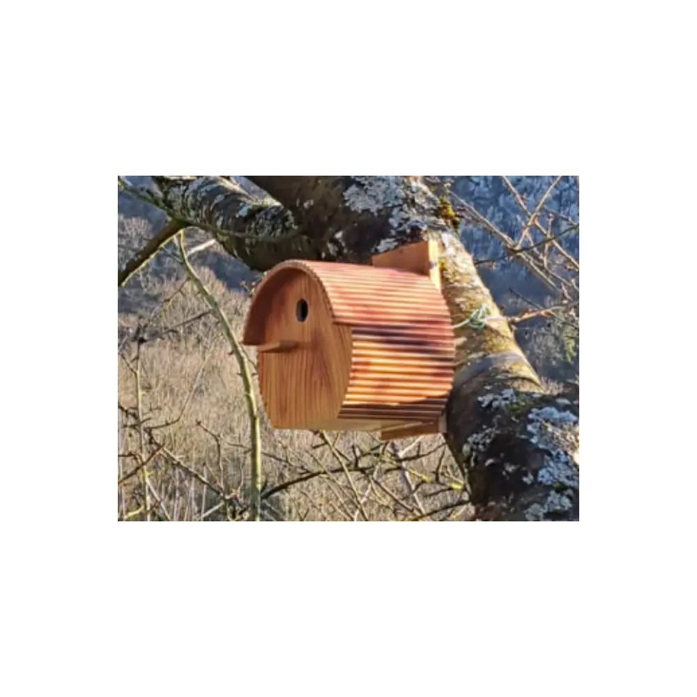 Birdhouse Installation Guide Birdhouse DIY Bird Habitat Bird Nest Bird Feeder Birdhouse Maintenance