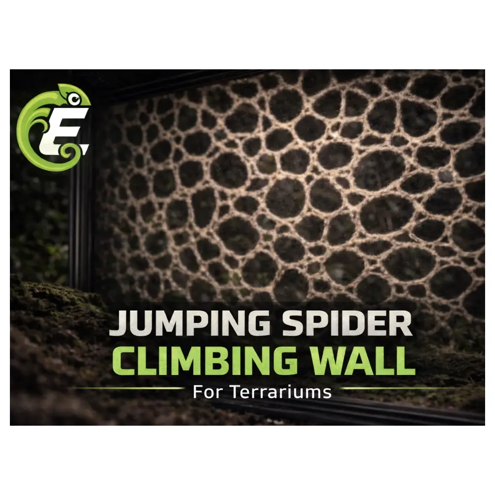 Wall Climbing Spider Toy Spider Climbing Toys Kids Puzzle Toys Outdoor Play Climbing Games