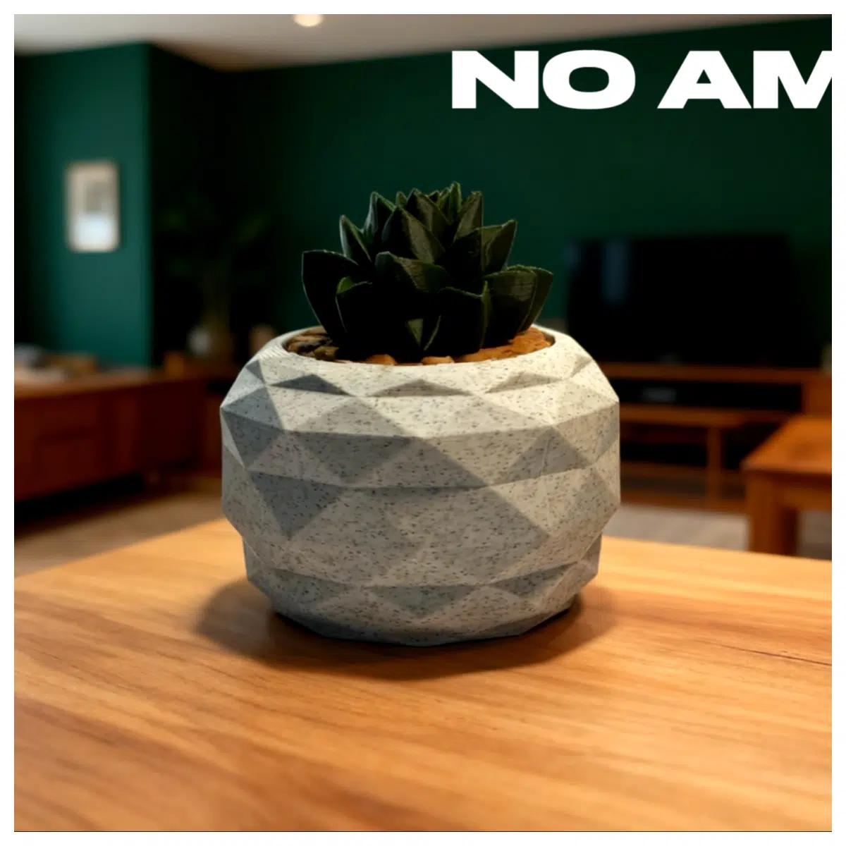 Low Poly Plants 3D Models Render Botanical Simulation Landscape Design Interior Garden