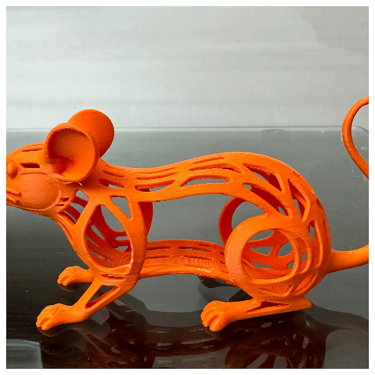 Hollow Model Simulation Research Neuroscience Brain Model Parts Repair Universal
