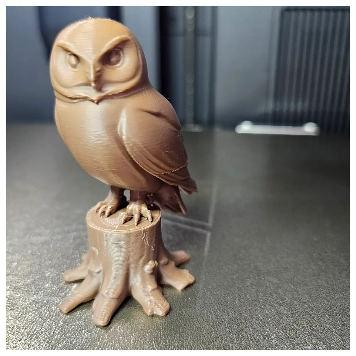 Owl on Tree Stump Worldwide Wildlife Identification Guide Tree Animal Habitat Bird Watching Animal Photos
