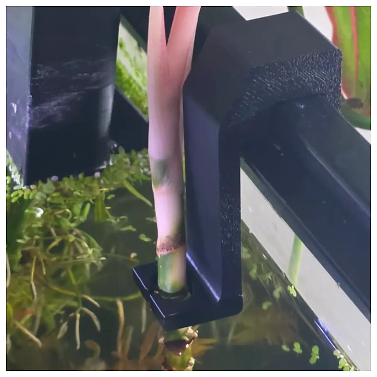 Aquarium Plant Support Bracket Edge Fit Fish Tank Accessories Plant Shelf Decoration
