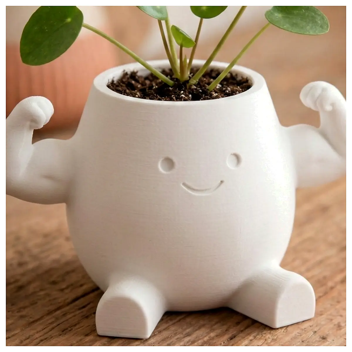 Minimalist Durable Planter Versatile Pot Flower Tray Planting Tools Watering System