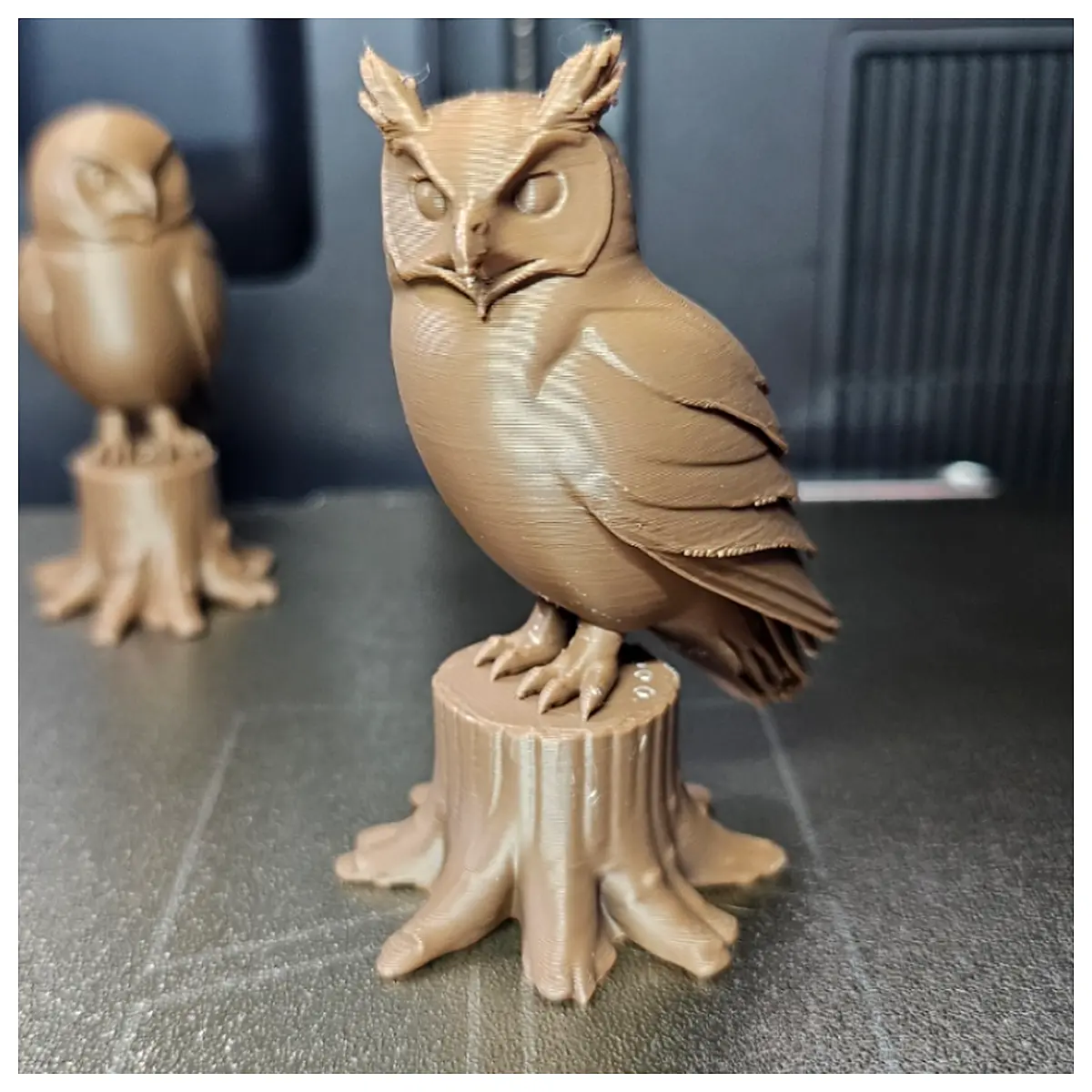 Pile Owl Identification Guide Owl Nesting Habitats Owl Species Bird Identification Animal Observation