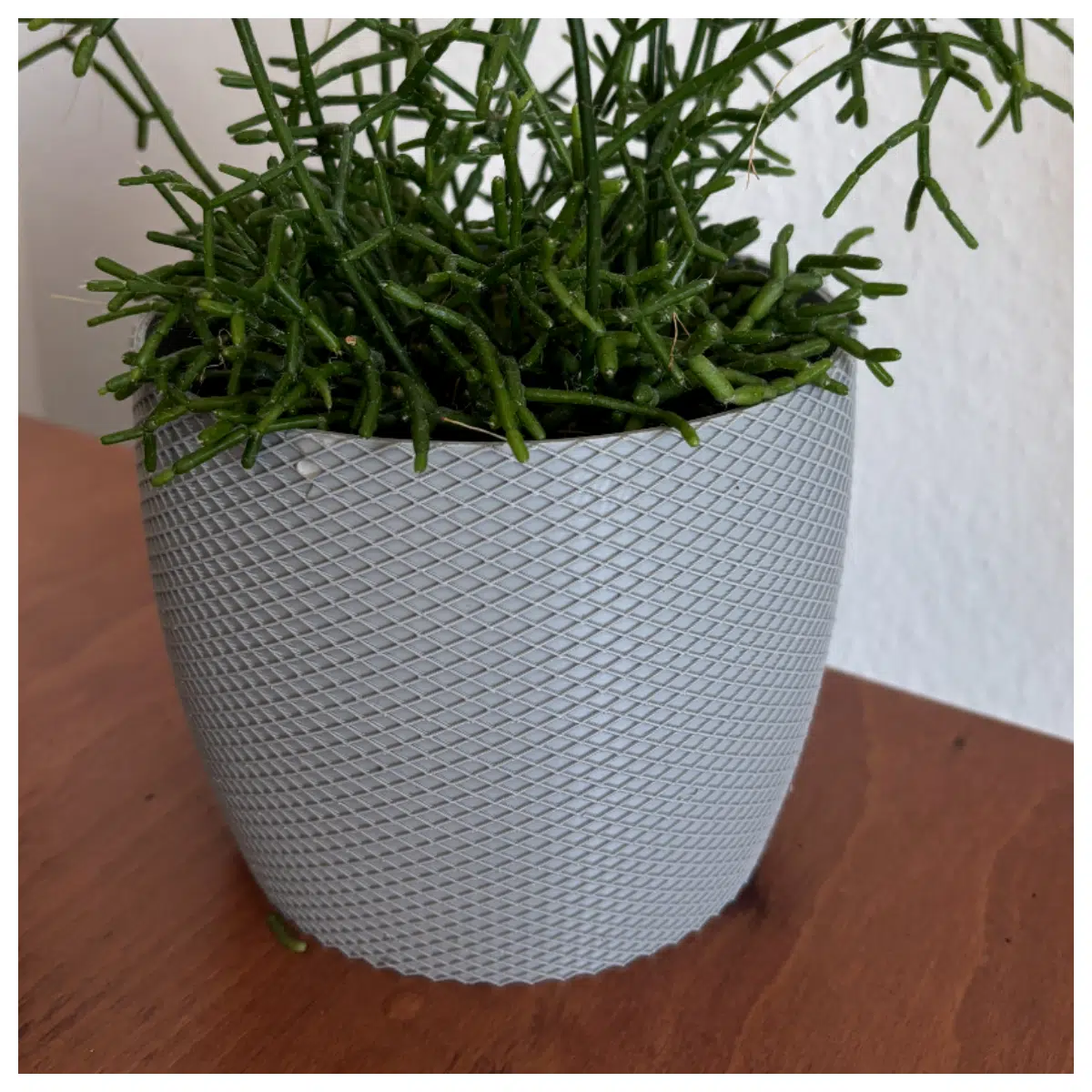130x110 Flower Pot Planter Indoor Outdoor Garden Flower Pot Succulent Planter Decorative Planter Planting Container
