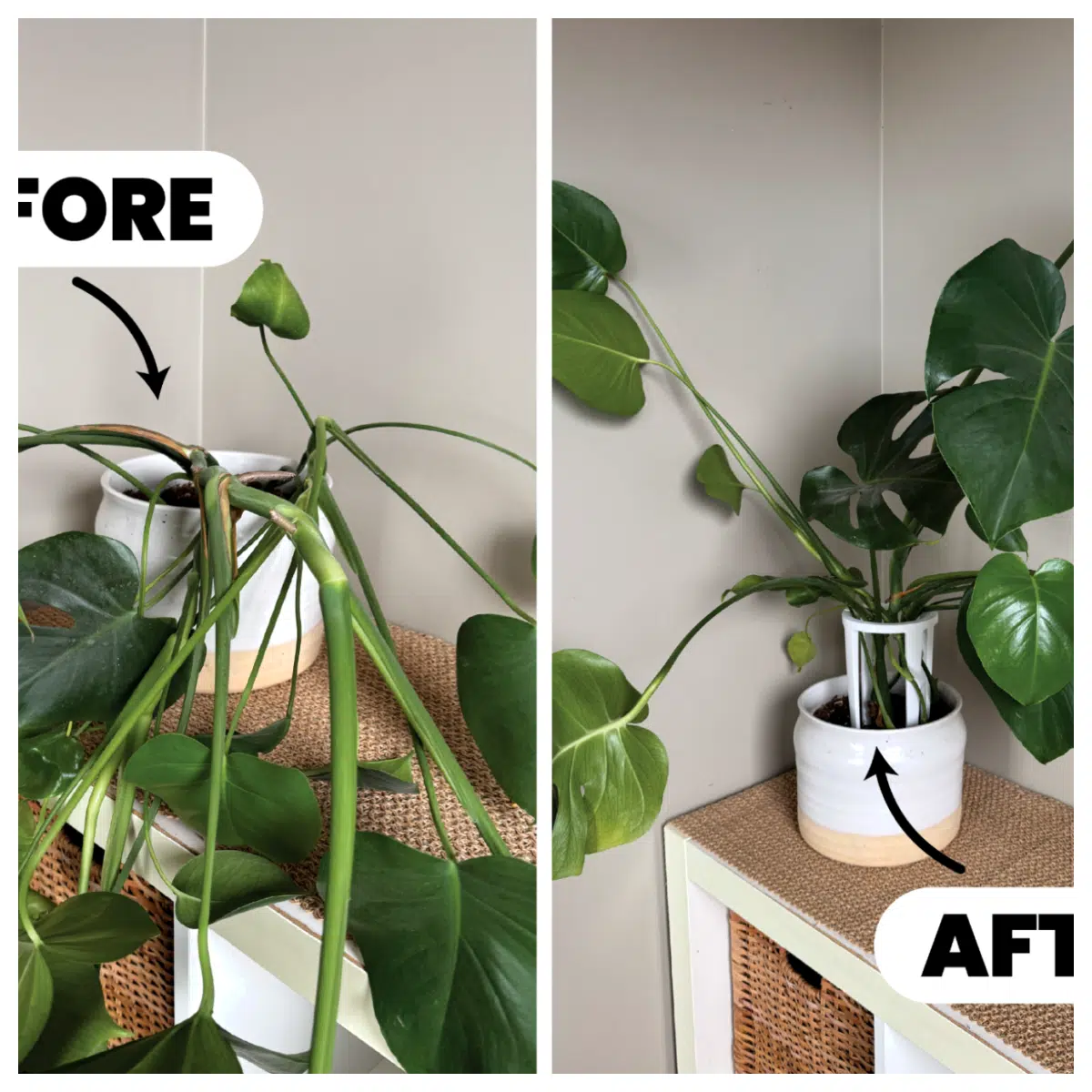 Plant Support Stake Growing Plant Support Flower Holder Vertical Garden Support Hanging Flower Stand Plant Support System