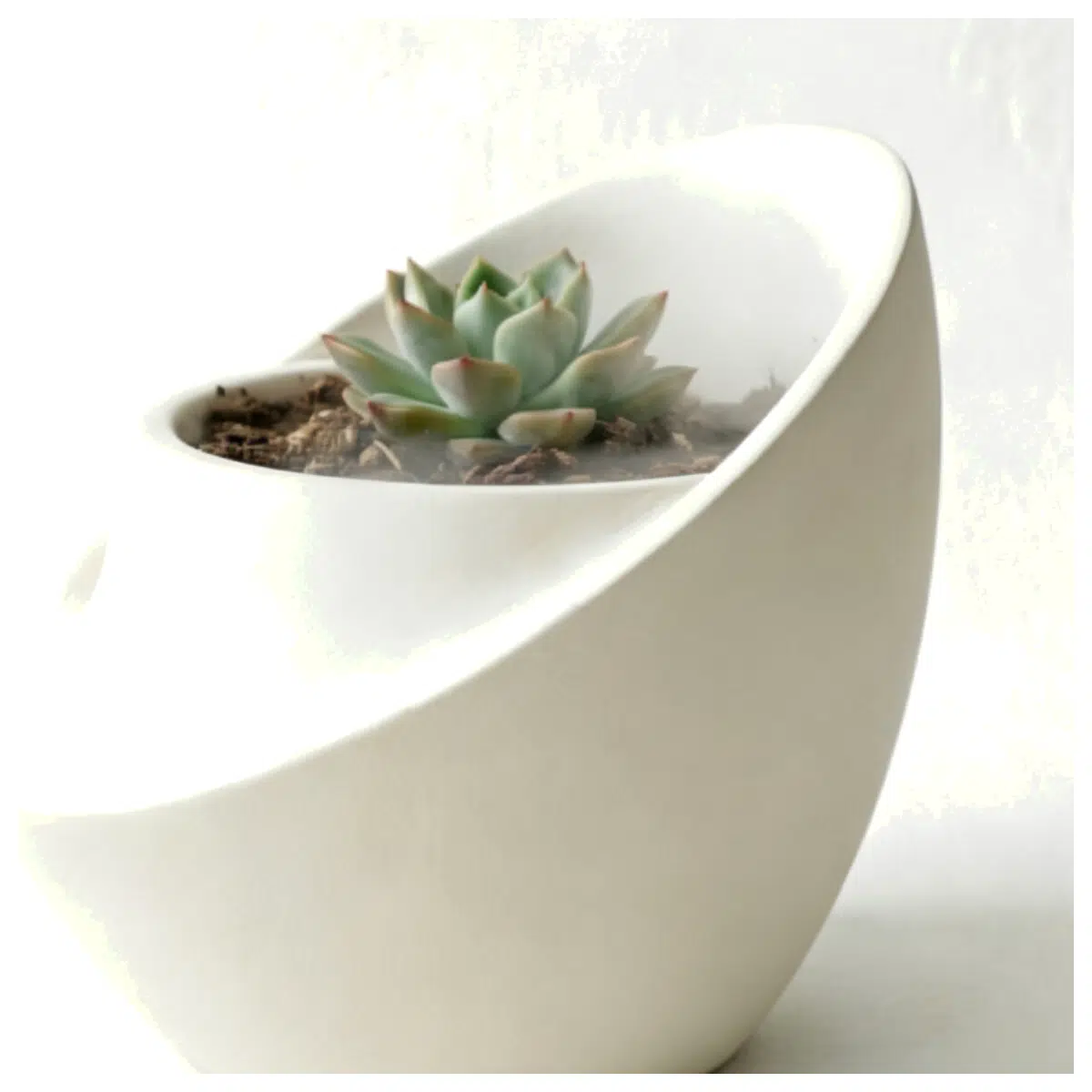 Succulent Planters Simple Small Pots Mini Garden Desktop Green Plants Decoration for Succulents