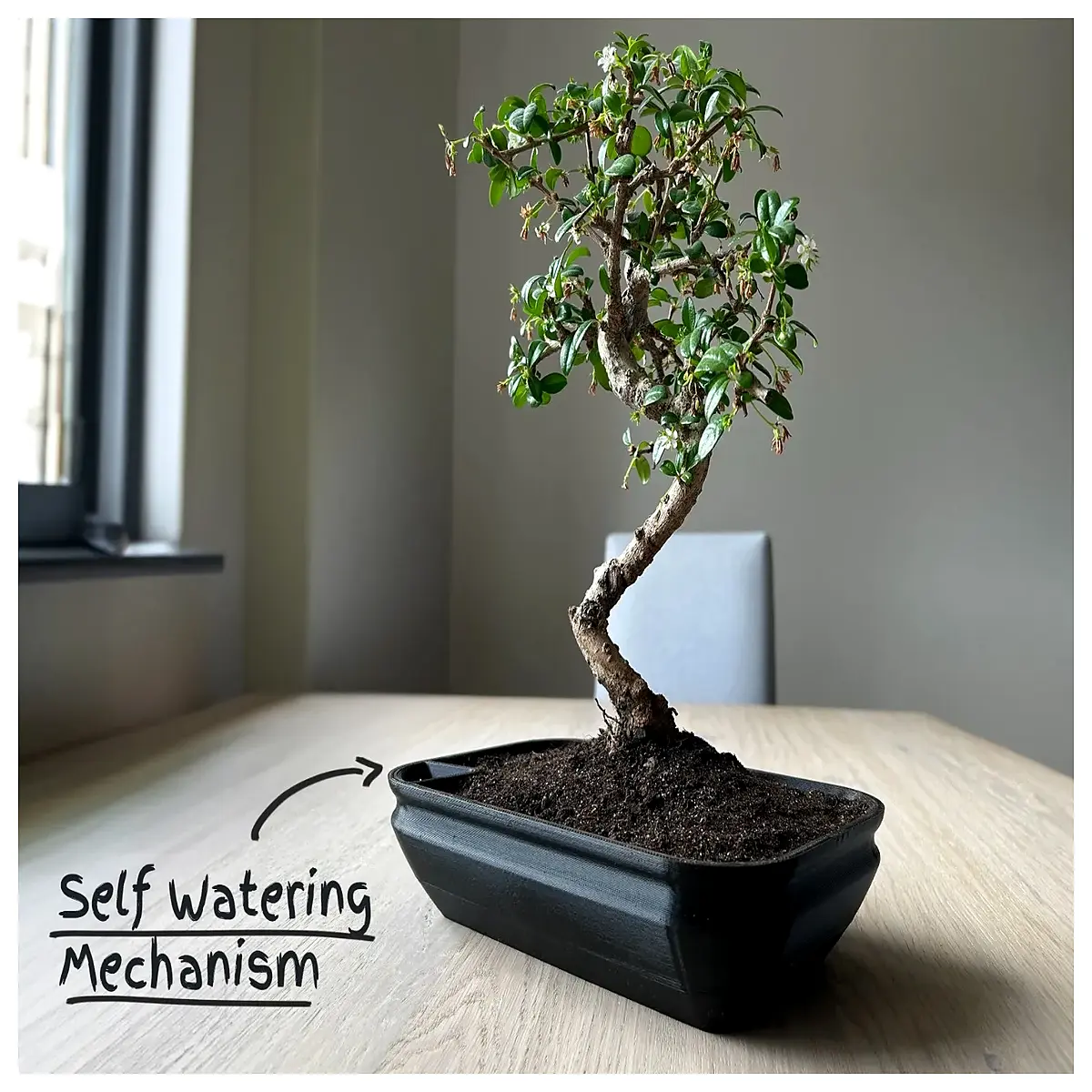 self watering plant pots with reservoir for indoor herbs succulents cactus automatic irrigation system home garden decor