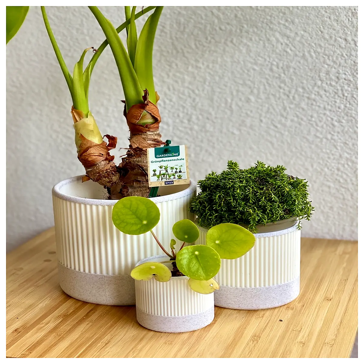 modern ceramic flower pots for indoor plants decorative succulent containers garden decor