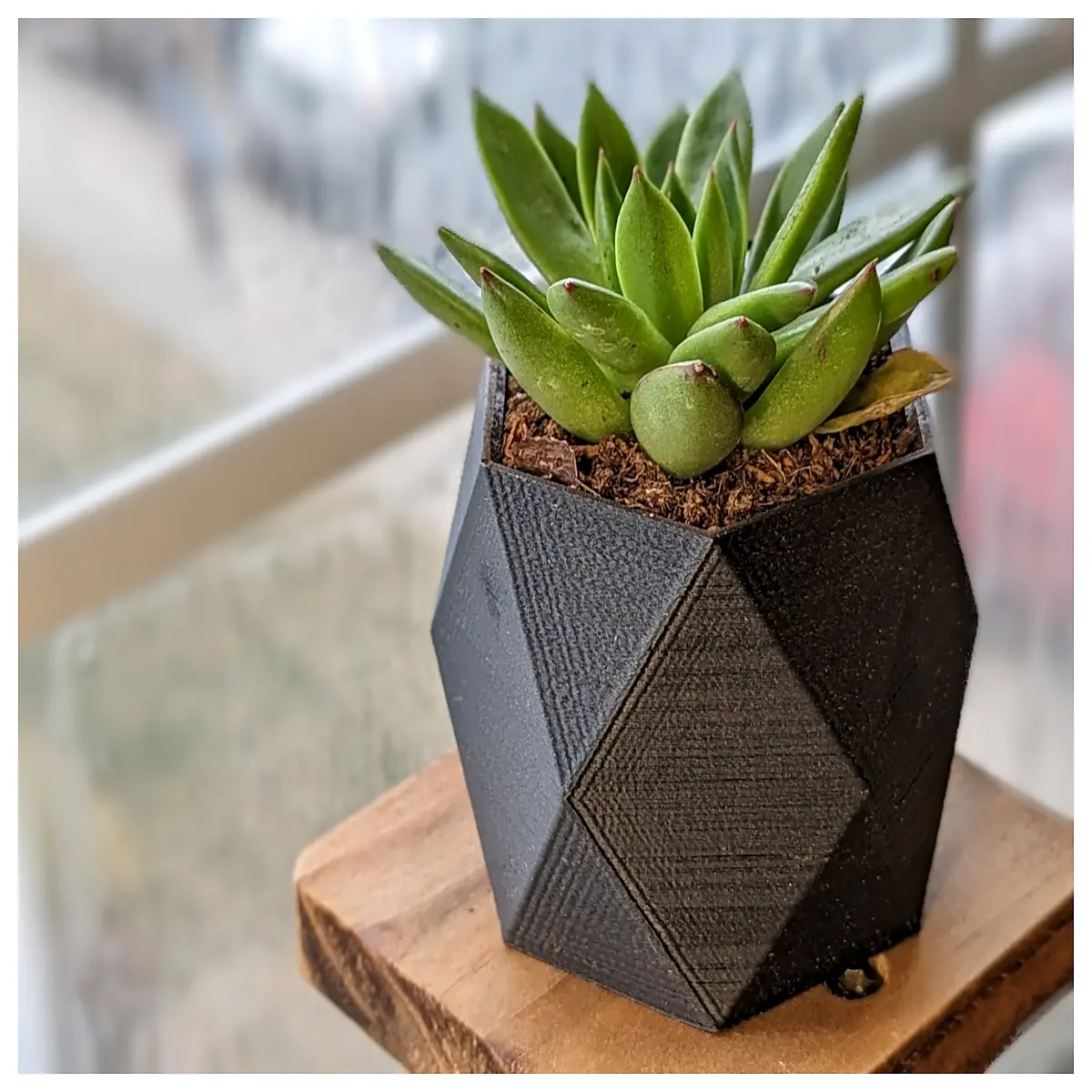geometric ceramic succulent planter with drainage hole modern minimalist pot for cactus air plant desk decor
