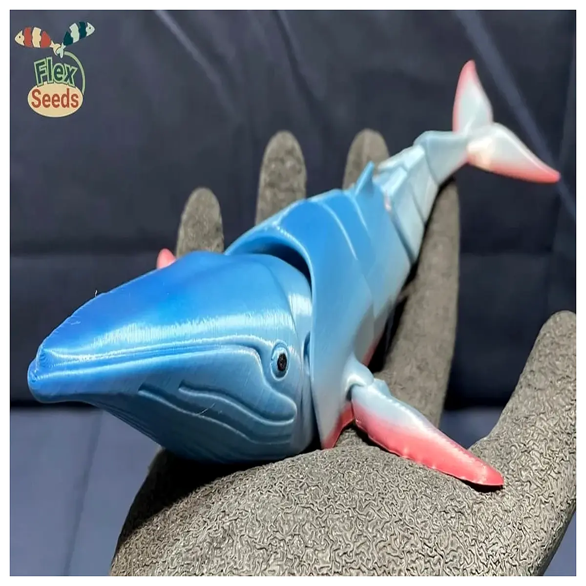Flexible Beluga Whale Printer Combo Mobile Printing Desktop Printing Creative Printing Print Accessories