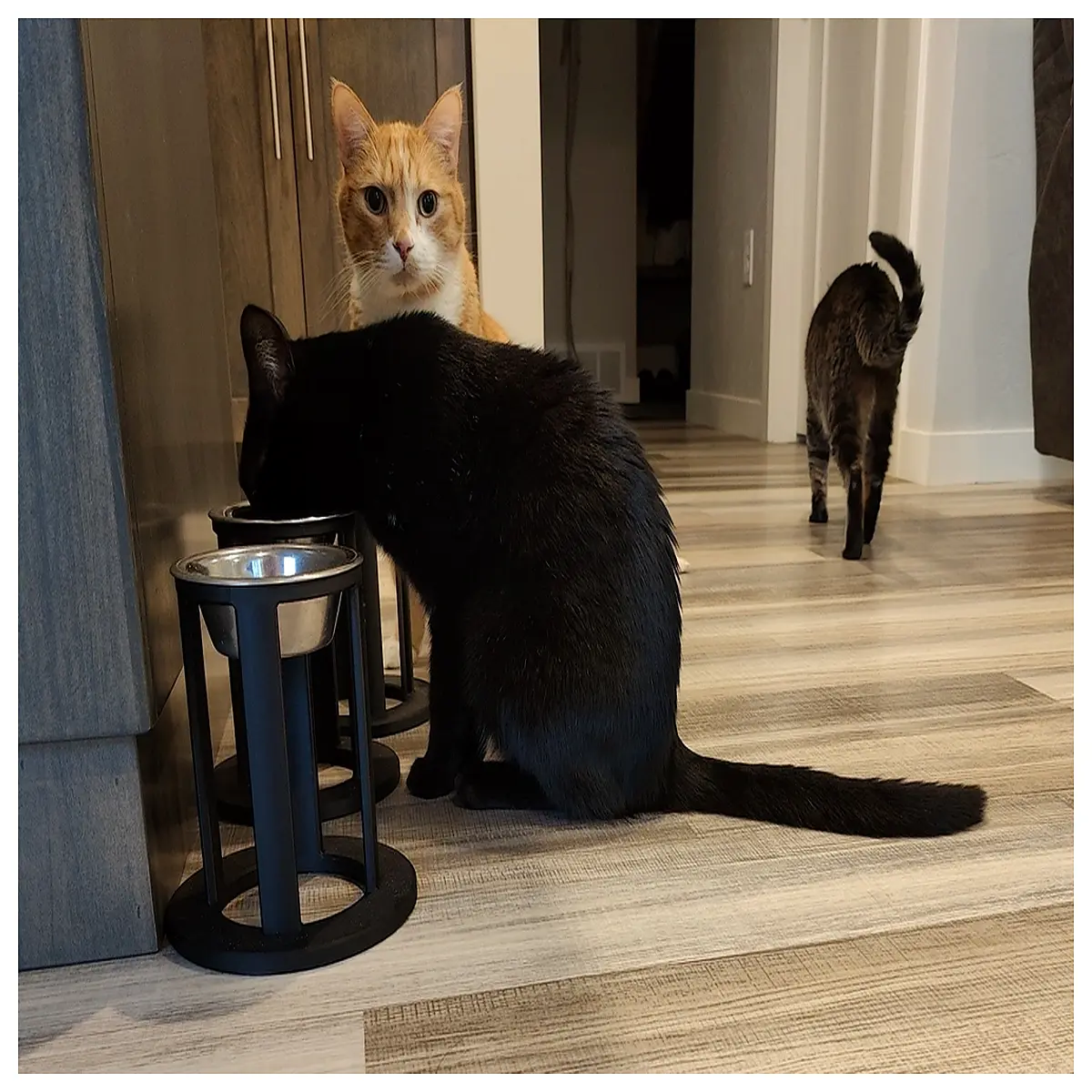 elevated dog bowl raised feeder for large medium small pets stainless steel anti tipping cat food dish holder