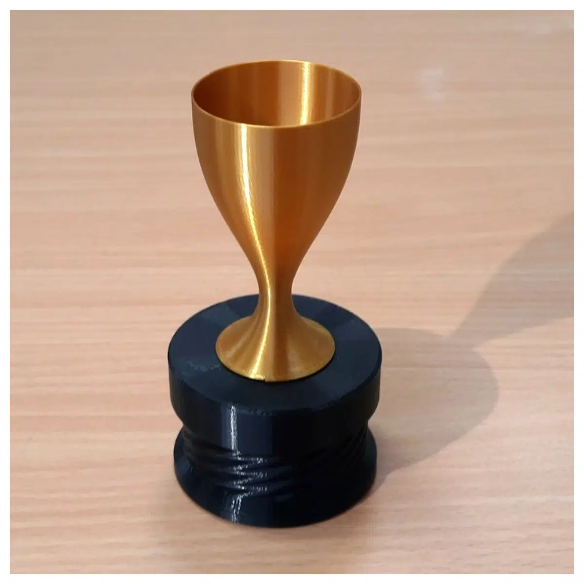 Minimalist Round Trophy Vase Pattern Decorative Home Accent Modern Design Simple Vase Flower Pot