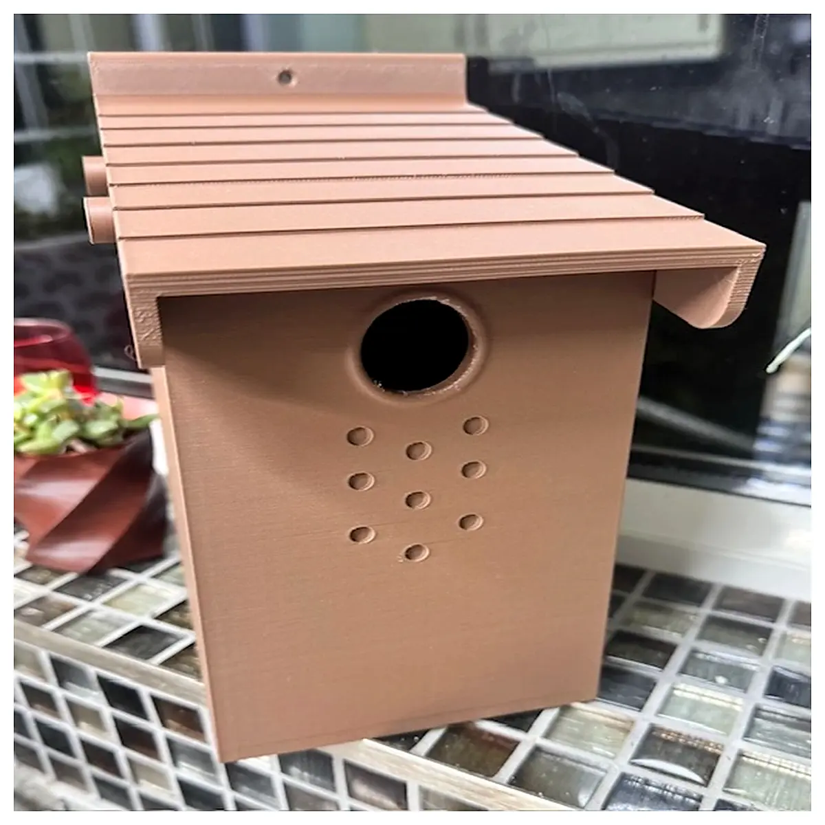 Blue capped Mountain Finch Nest Box DIY Assembly Bird Viewing Box Birding Supplies Nesting s Bird Habitat
