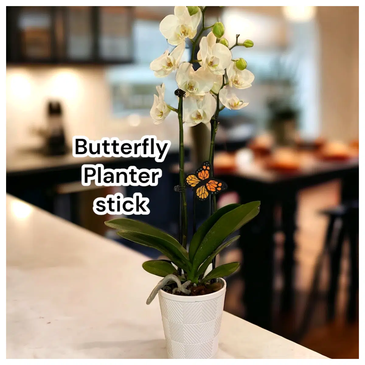 Planter Decoration Creative Desktop Ornament Garden Miniature Landscape Indoor Decoration Shaped Flower Pot Decorative Flower Dish
