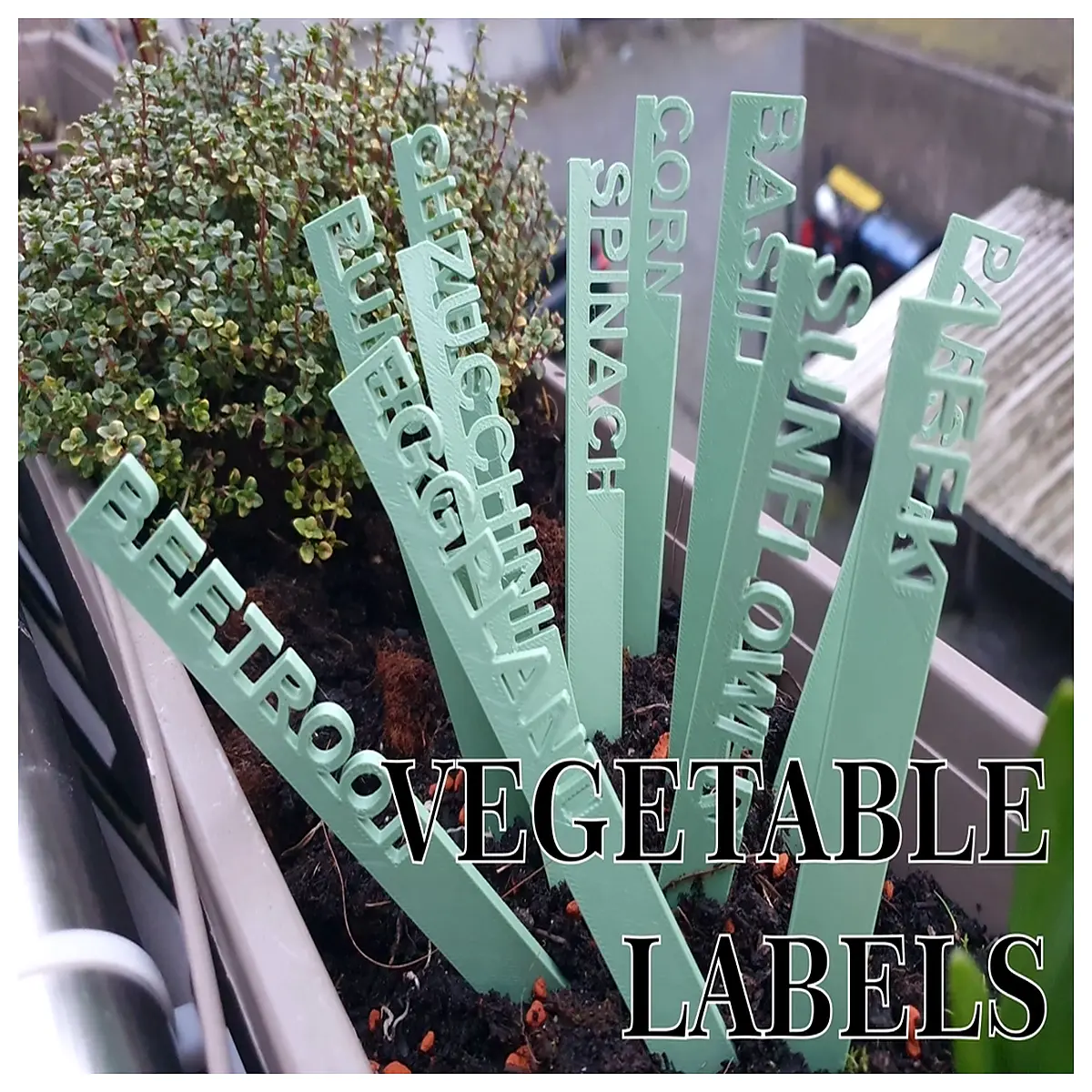 Herb Vegetable Labels Farm Garden Plant Signage Cultivation Marker Tags Botanical Identification Produce Labels Vegetable Identification Garden Markin