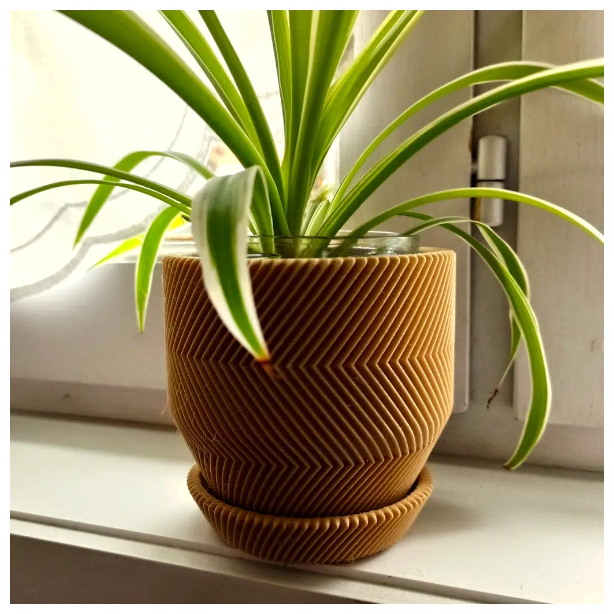 minimalist self watering planter with drainage hole modern ceramic pot for indoor plants succulent garden decor
