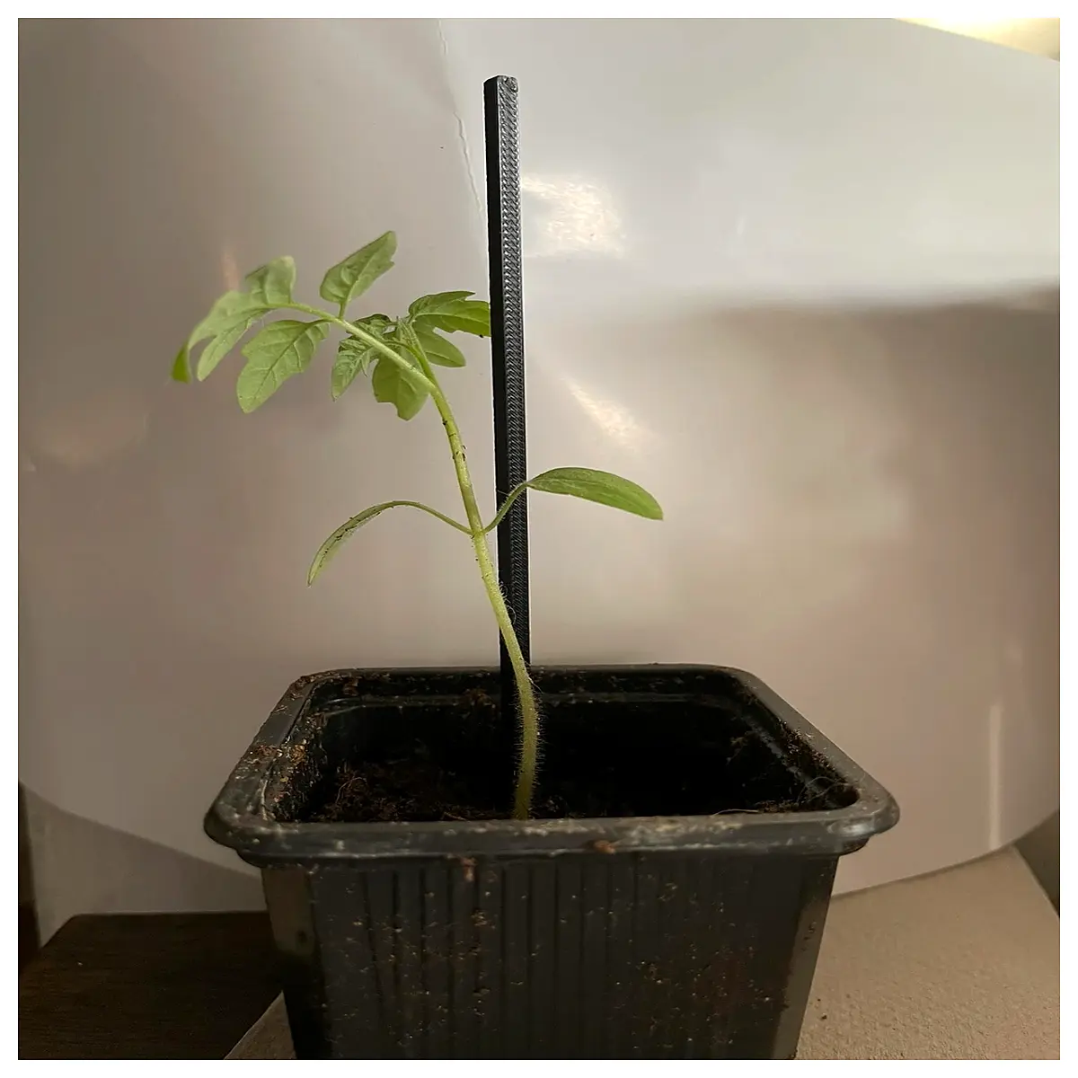 duty plant support stakes for tomatoes roses climbing vines garden trellis netting sturdy flower pole holders