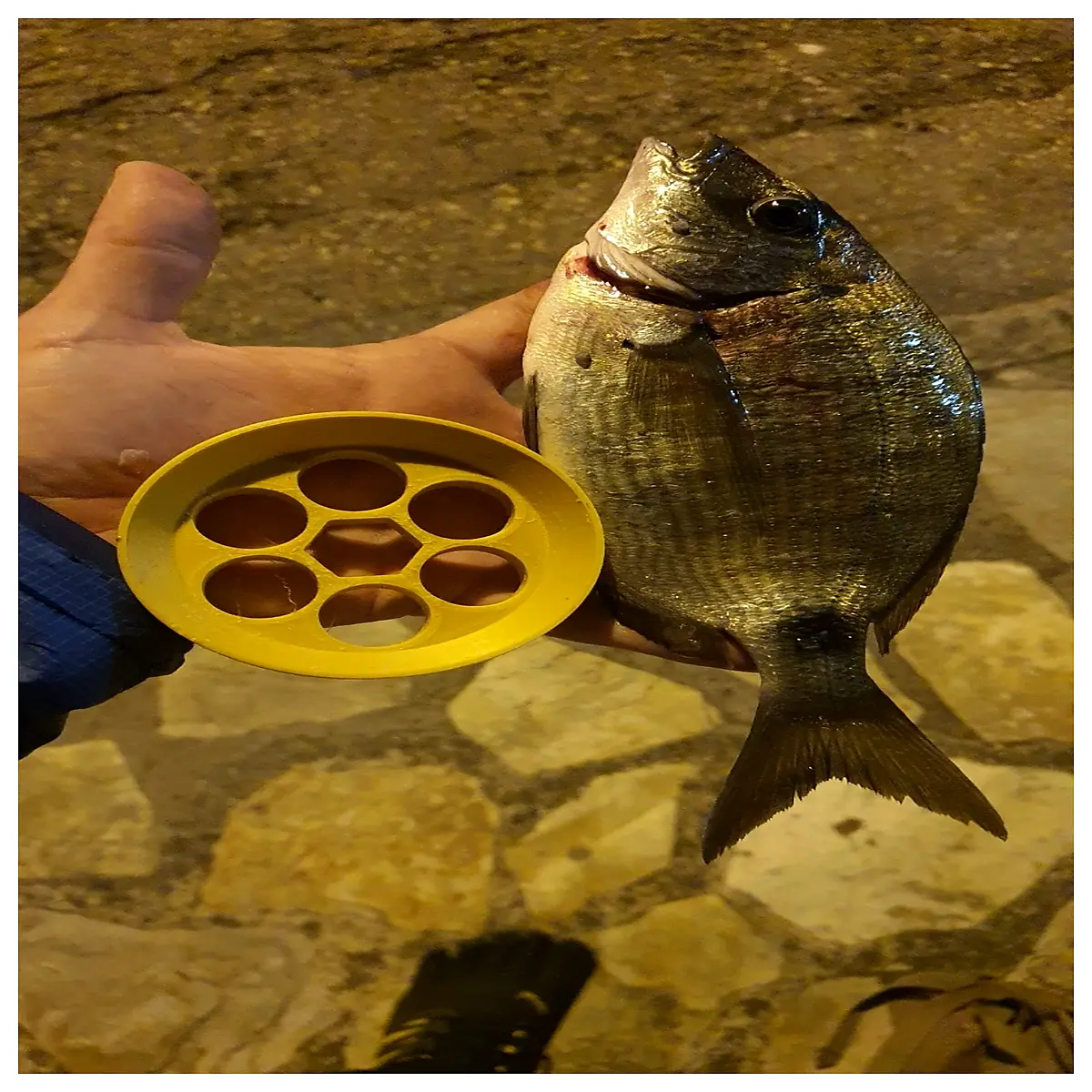 Portable Hand Reel Cuban Yoyo Fishing Wheel Small Mobile Fishing Accessory Hand Cranked Outdoor Fishing