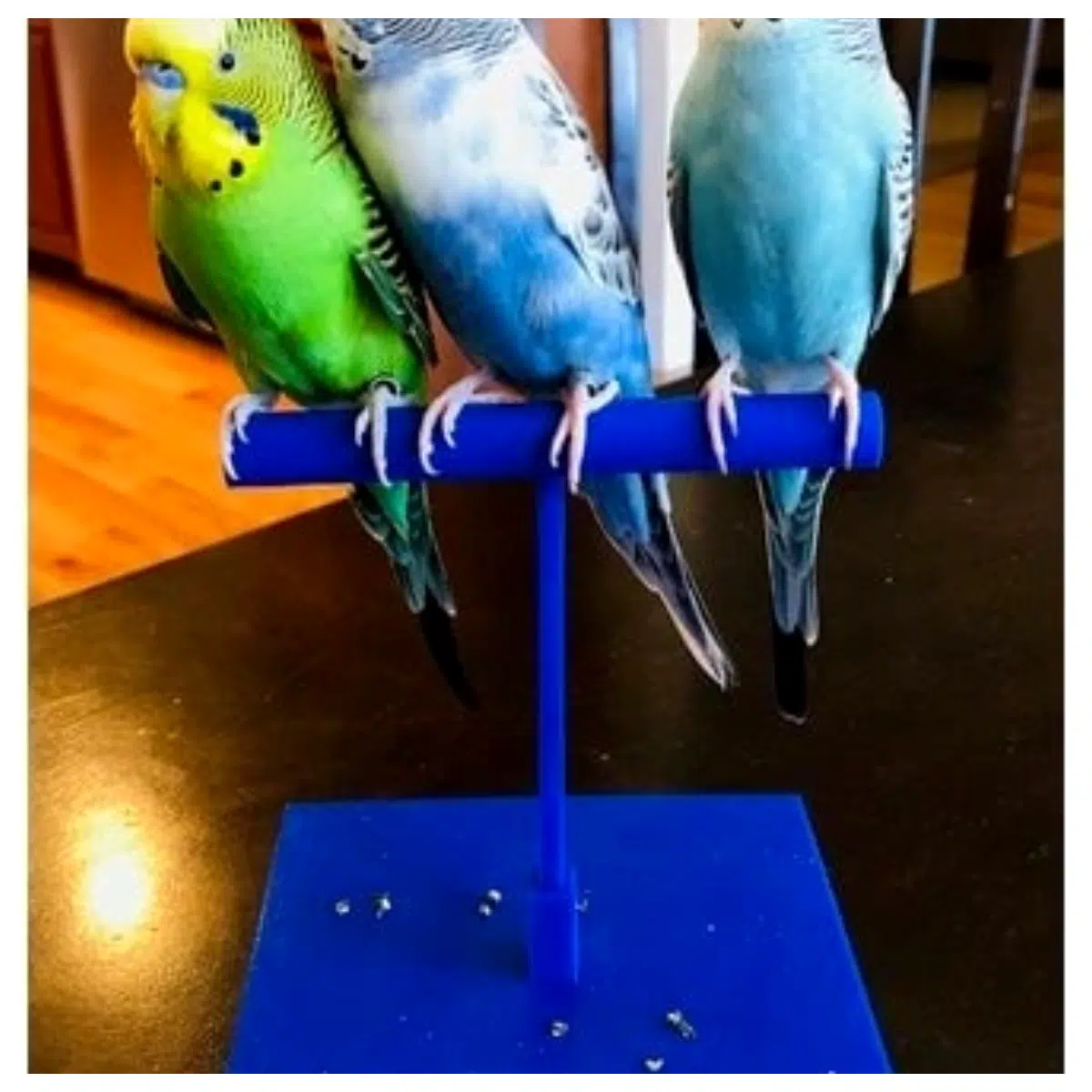 bird perch for parrots large natural wood branch toy cage accessory
