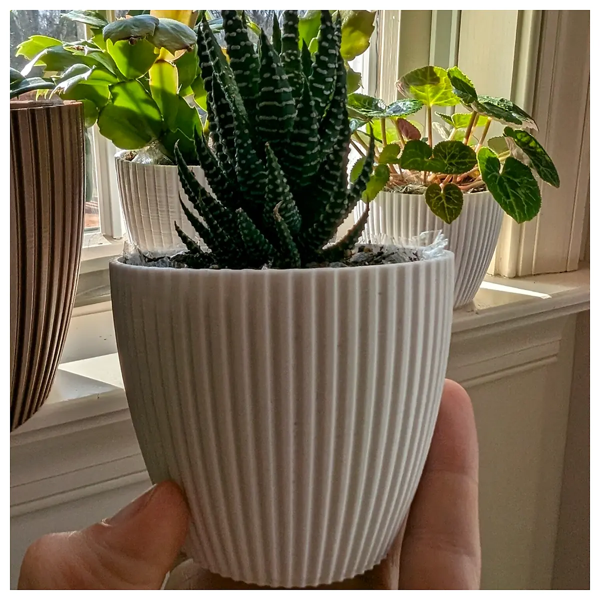 minimalist ceramic flower pots set modern geometric planters for indoor succulents cactus large small decorative home garden decor