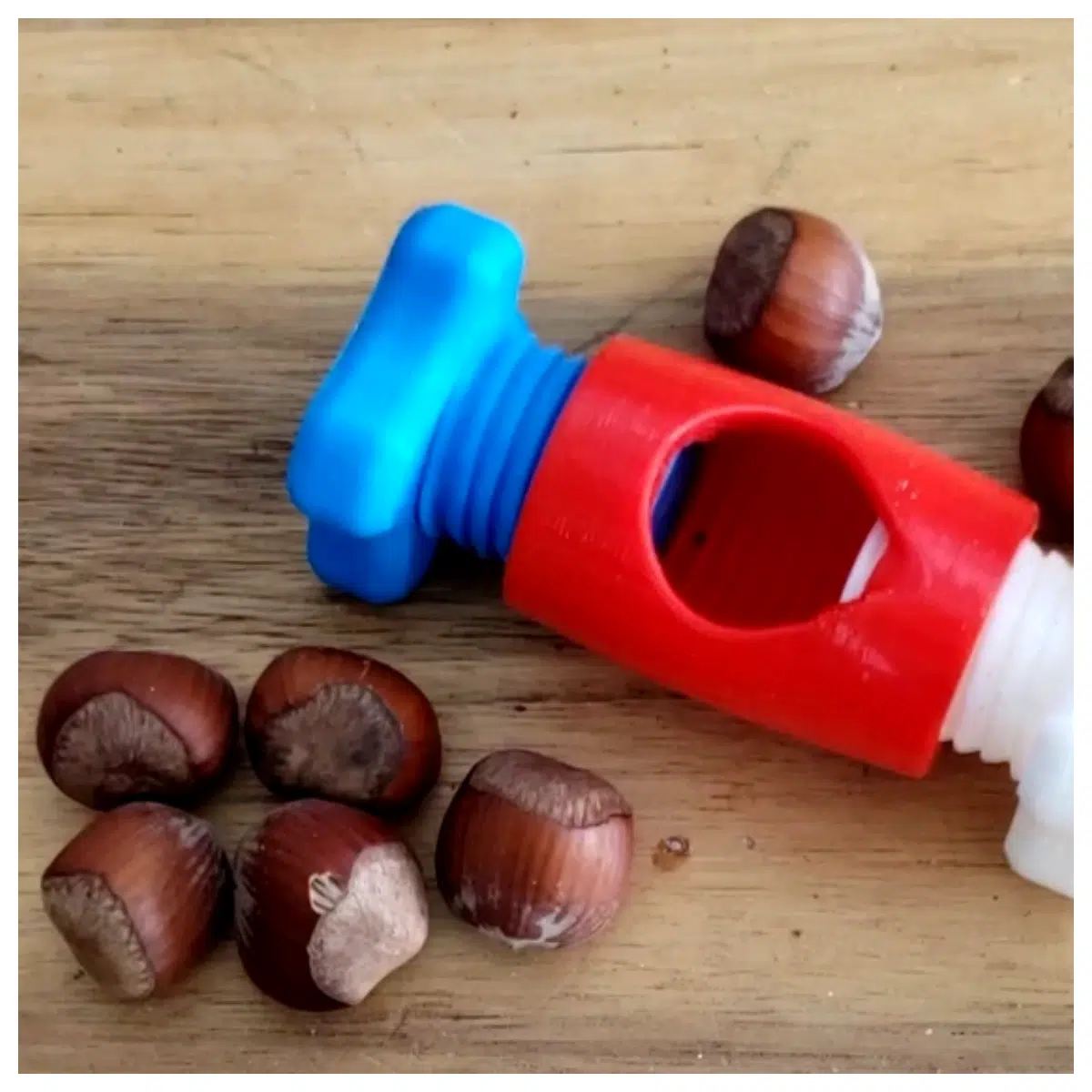 Nut Clip Hazelnut Cracker Nut Picker Tool Hazelnut Opening Device Nut Enthusiast Accessories Easy Use Convenient