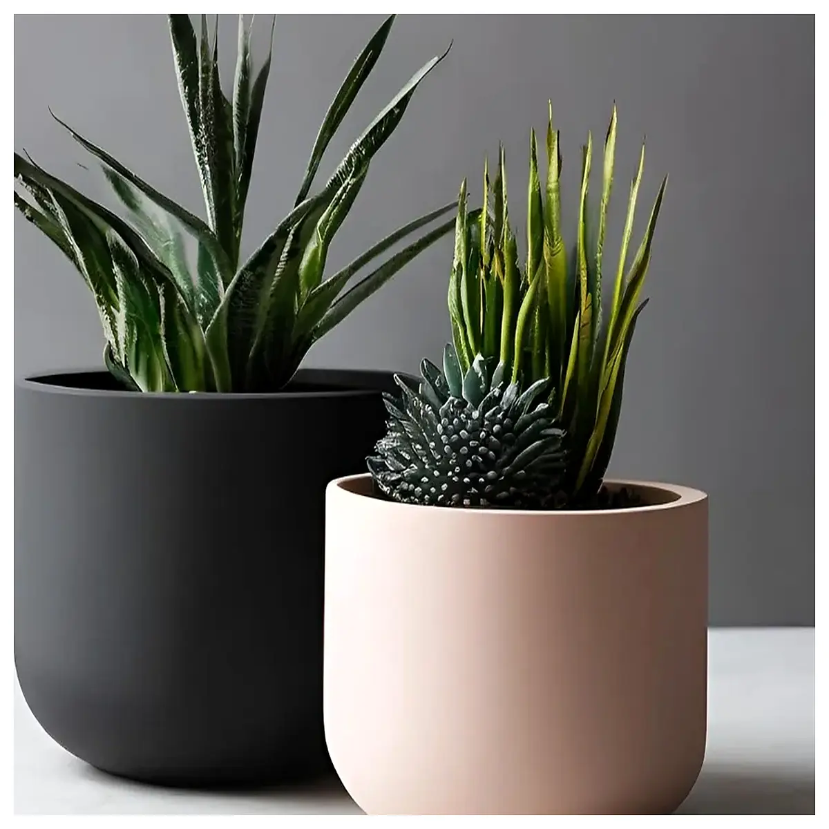 minimalist round ceramic planter pot for succulents cactus indoor plant decor