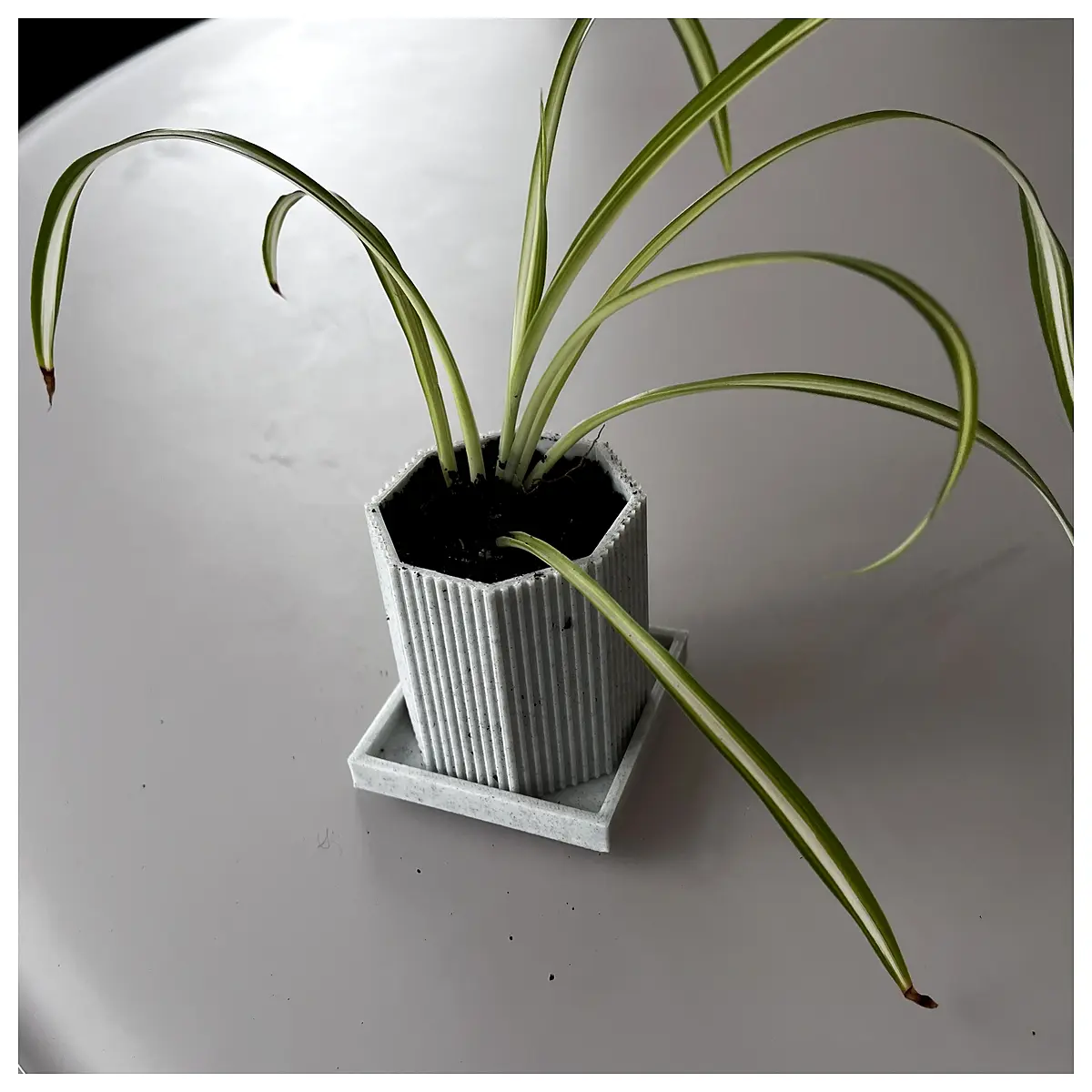 small cactus pot succulent planter geometric concrete planter for desk indoor garden