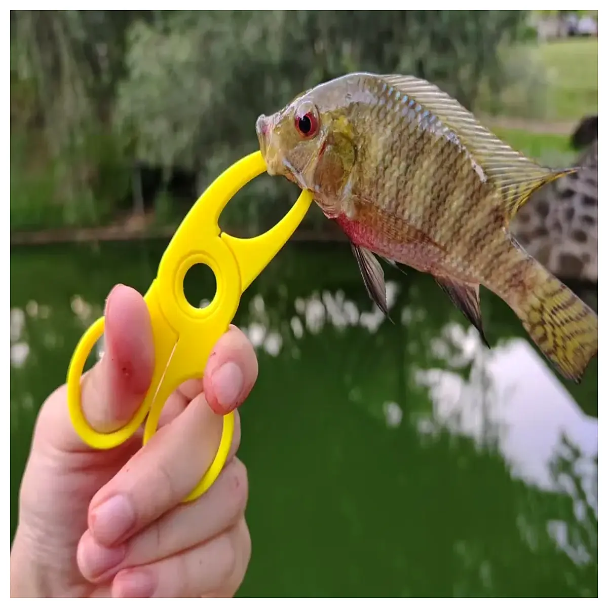 Lure Small Fish Mouth Pliers 20cm Fishing Tool Lure Clippers Fish Mouth Pliers Shore Fishing Accessories Hook Pliers