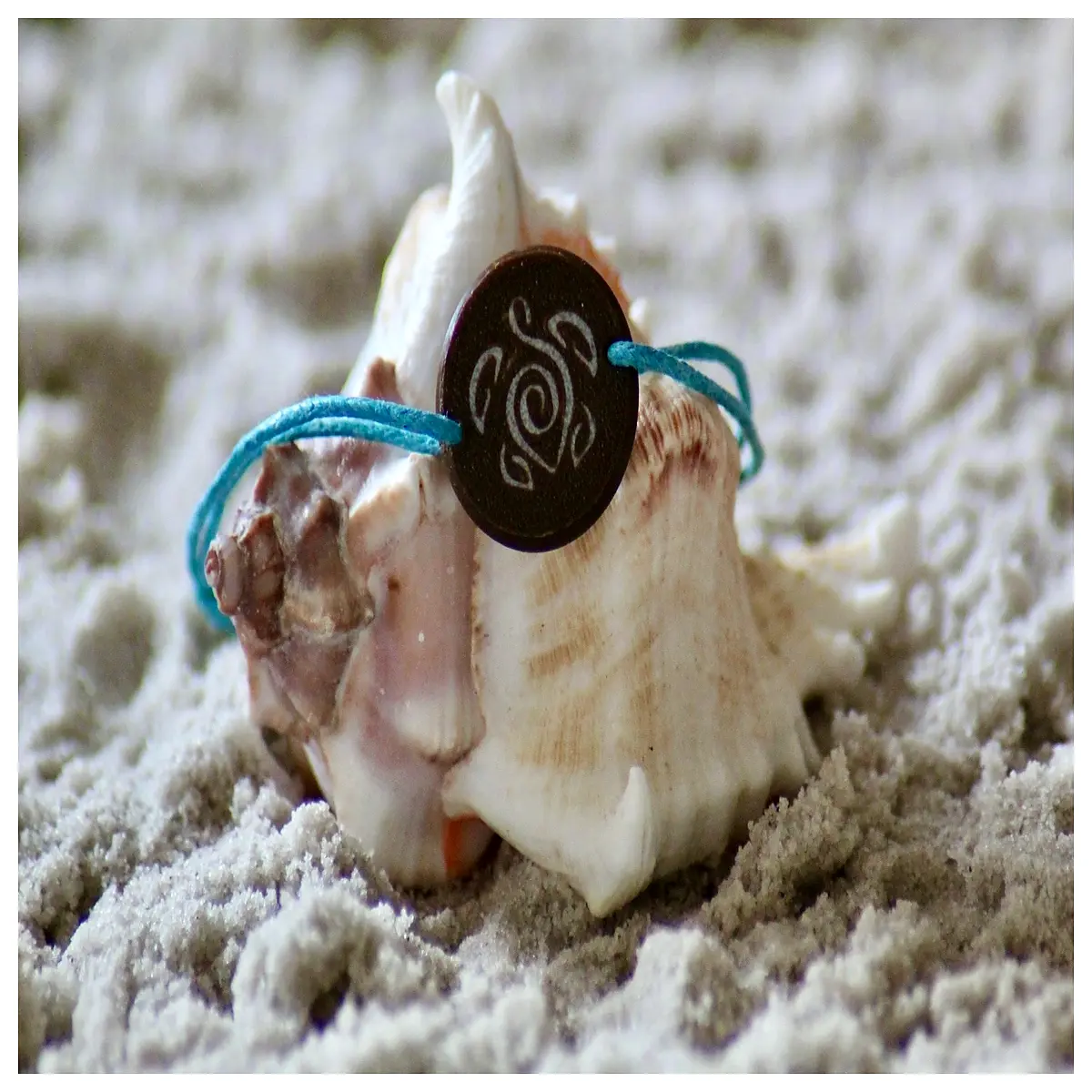 Sea Necklace Women s Ocean Animal Pendant Elegant Fashion Jewelry Trendy Accessories Her