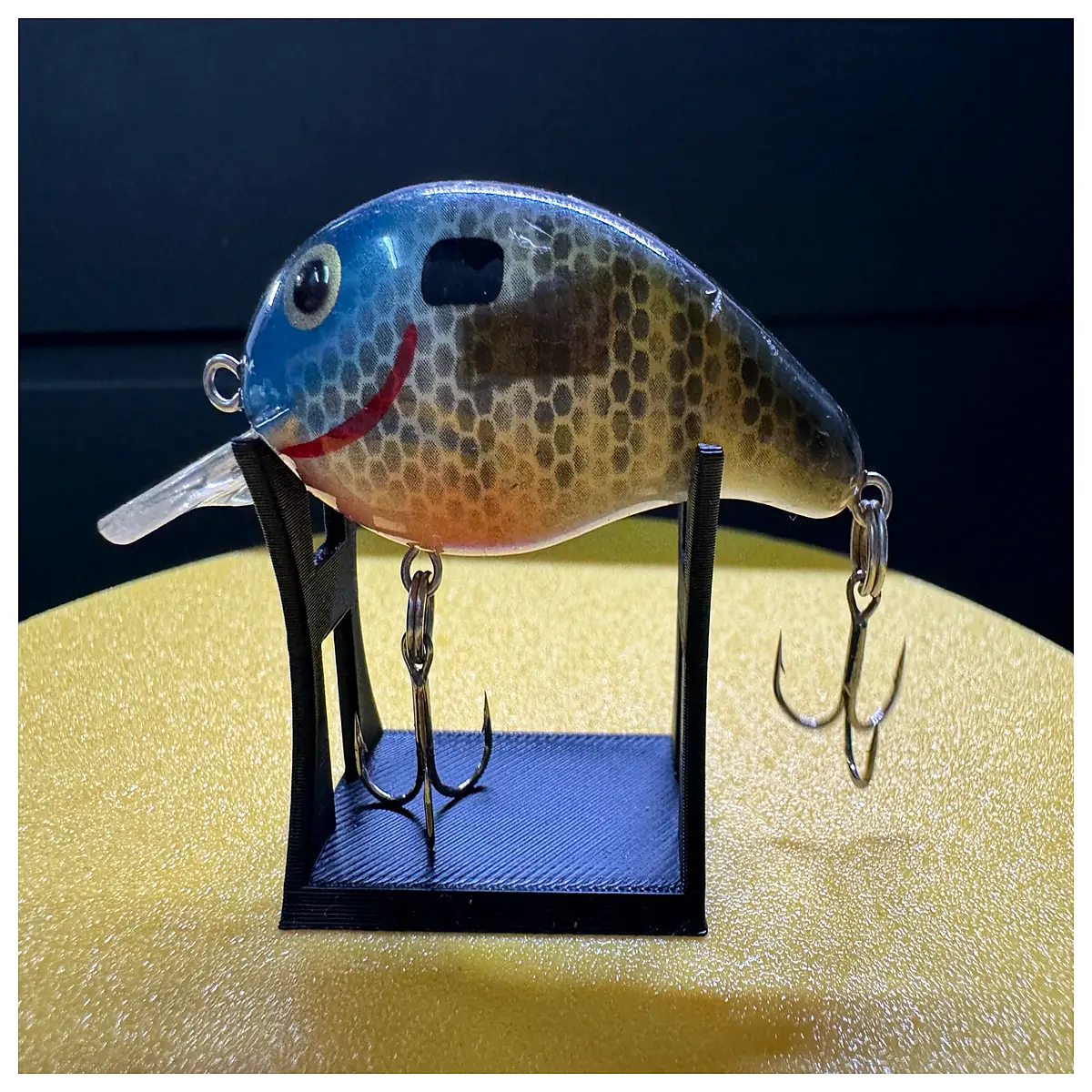 Bait Display Rack Bait Storage Box Fishing Accessories Tackle Storage Bait Catch Display Fishing Gear