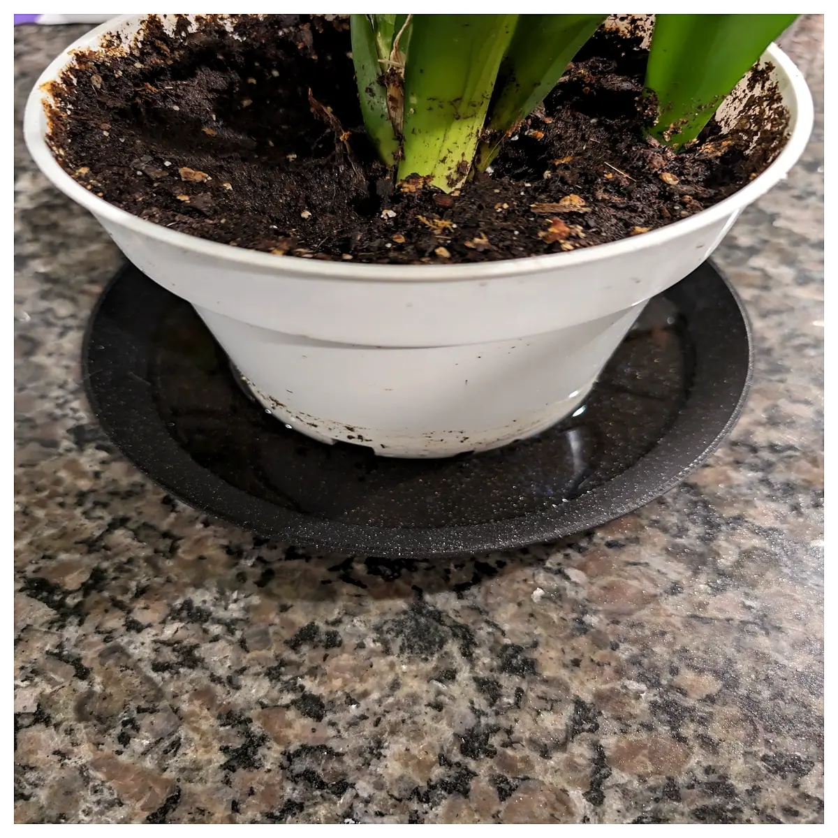 modern geometric planter pots for indoor succulents cactus ceramic vase home office desk decor