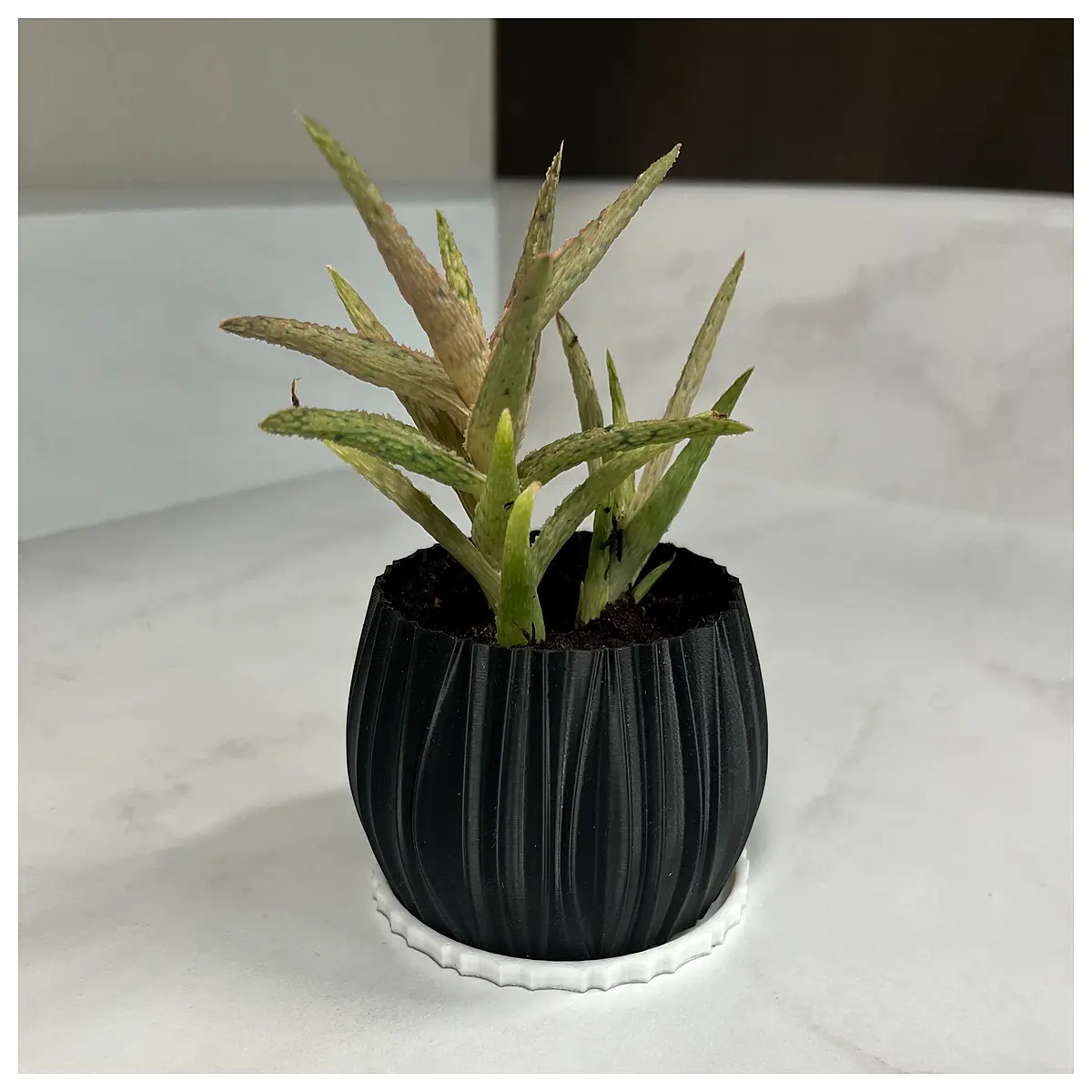 Wave Planter Creative Home Decor Flower Arrangement Pot Succulents Plant Decoration Various Styles Options