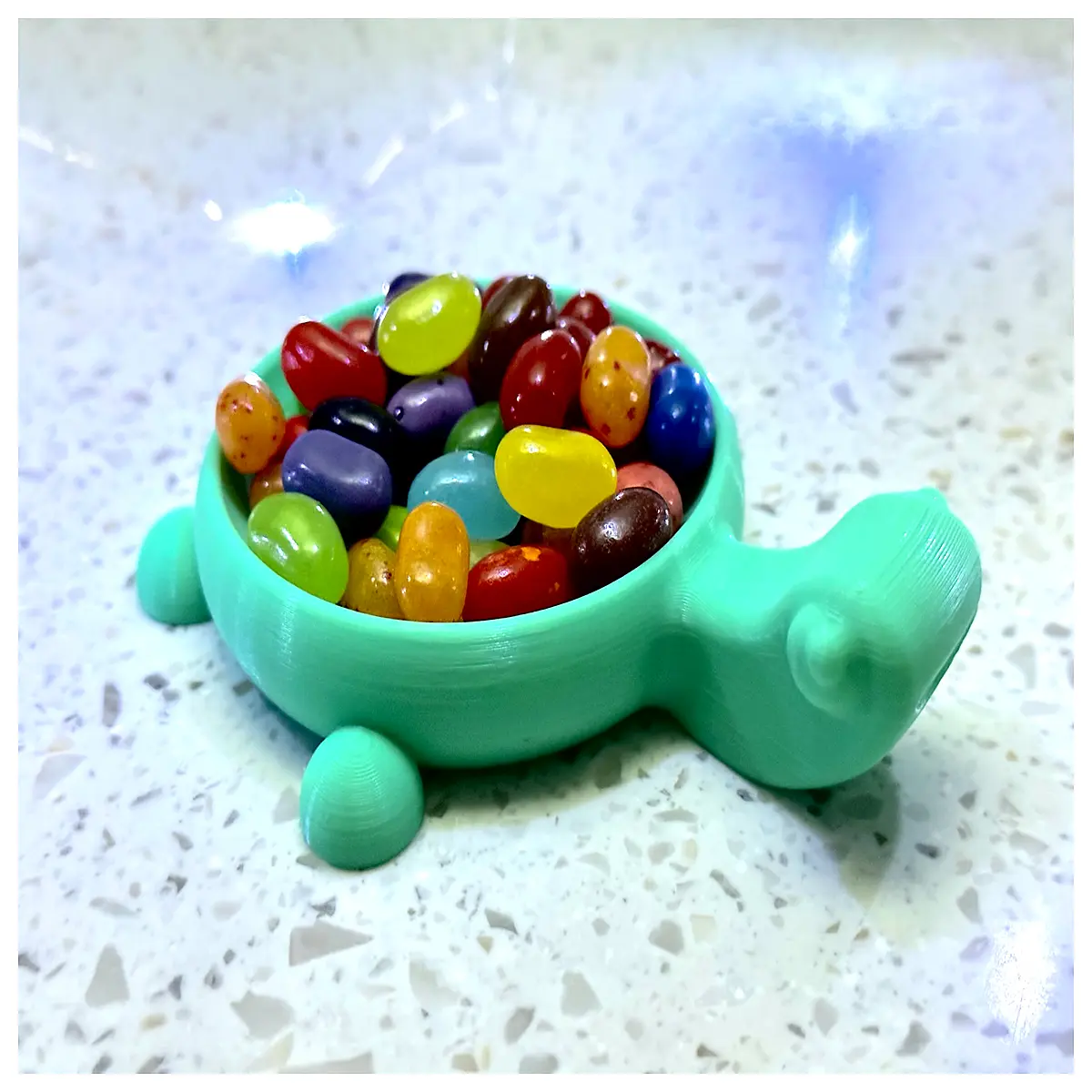 bowl lid decor for home reptile tank cover aesthetic terrarium accessories stylish cage top