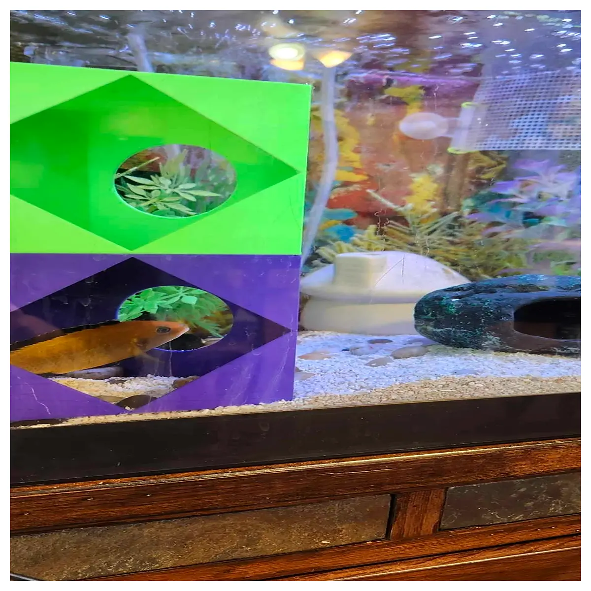 aquarium fish cave decoration hiding spot for betta goldfish guppy pet supplies