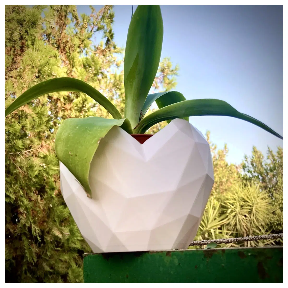Low Poly Planter Modern Geometric Flower Pot for Indoor Garden Succulents Cacti Home Decor