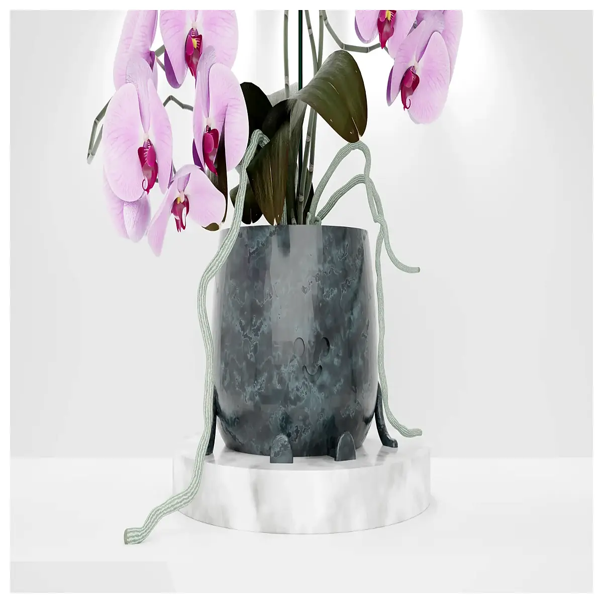 Self Watering Planter Smart Pot Plant Watering System Garden Accessories Automatic Watering Flower Pot Happy Self Watering Planter Desktop Green Plant