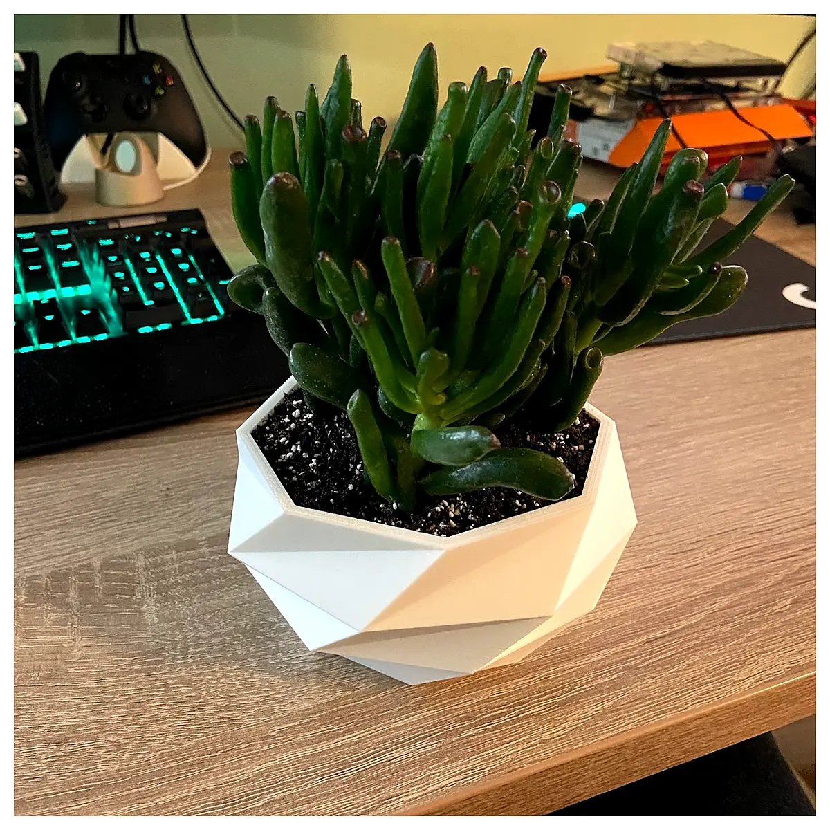 modern geometric concrete planter pot with hidden reservoir for succulents cactus self watering large wide mouth low poly design