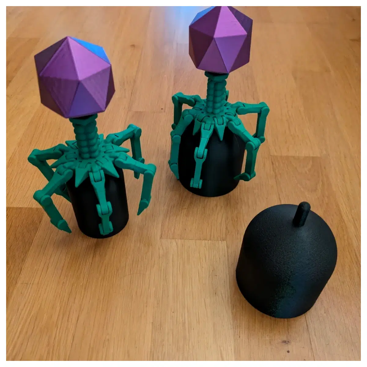 T4 Bacteriophage Support Structure Truly Adorable Bacterial Removal Device Lab Use Cell Culture Viral Research Control