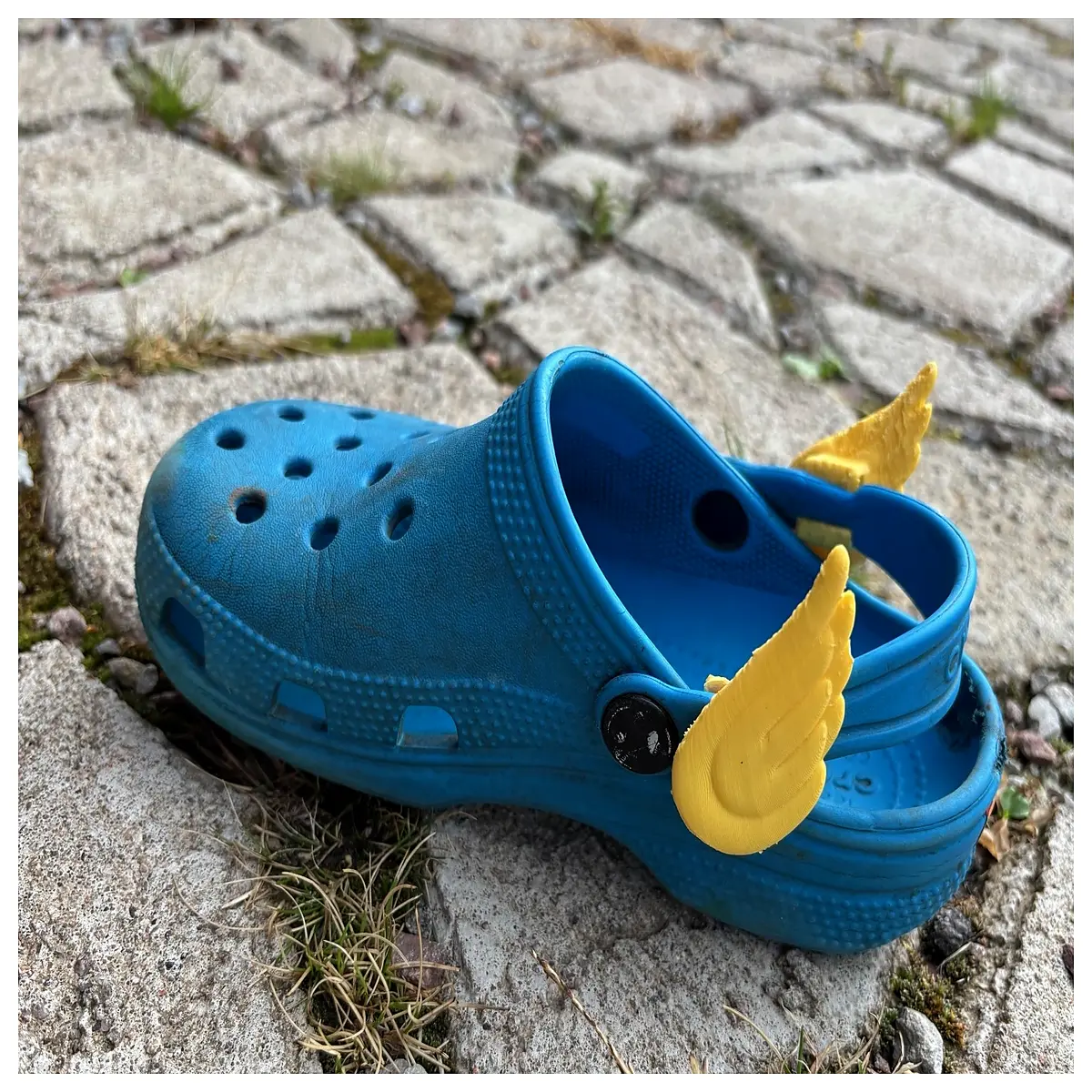 Blue Shell Wings Simulation Toy Dinosaur Model Dinosaur Accessories Dinosaur Decoration Dinosaur Collection