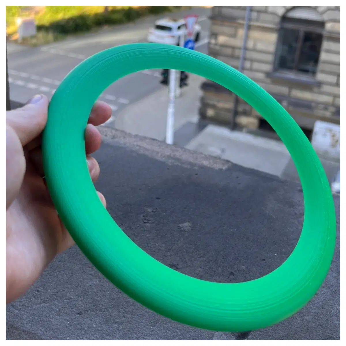 flying disc for dogs ultimate disc outdoor sports training