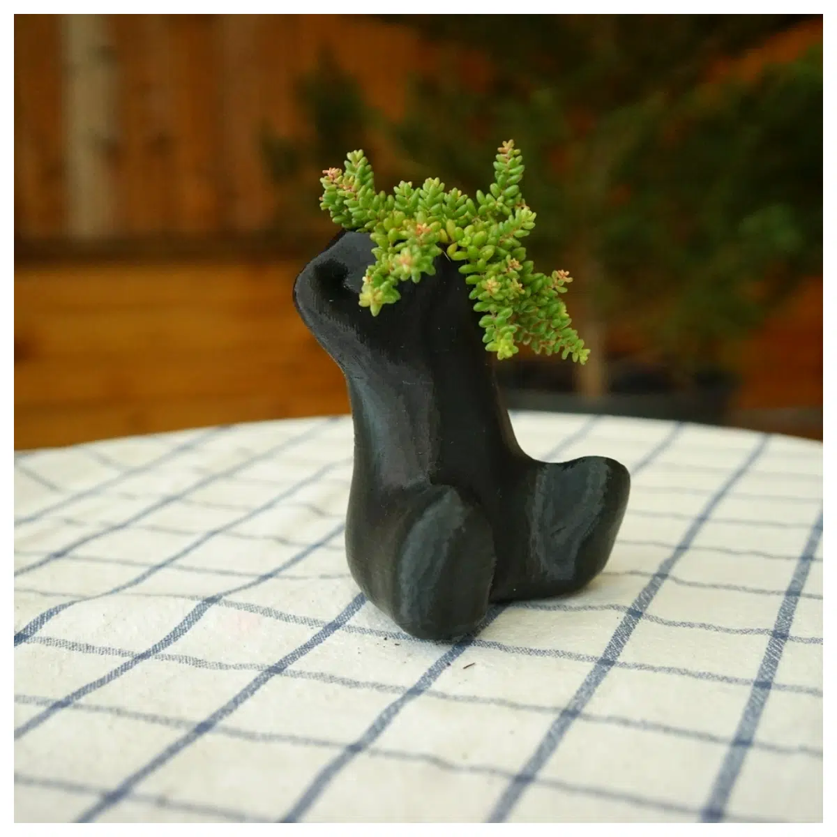 minimalist ceramic vase planter for succulents modern home decor